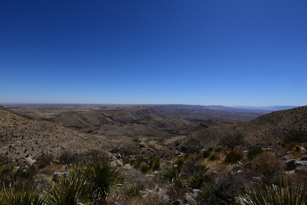 a landscape with hills and bushes