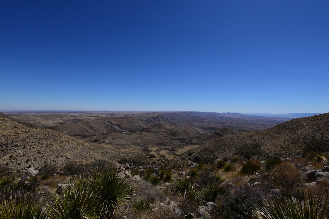 a landscape with hills and bushes,