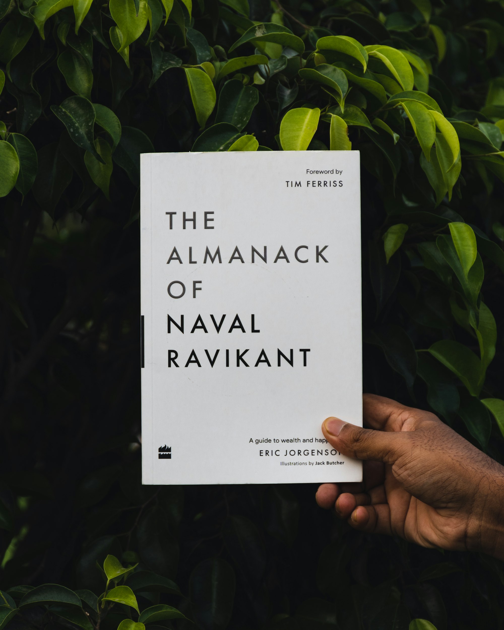 Picture of The Almanack of Naval Ravikant before leaves.

Discover all my photography work: https://fueler.io/anikman98