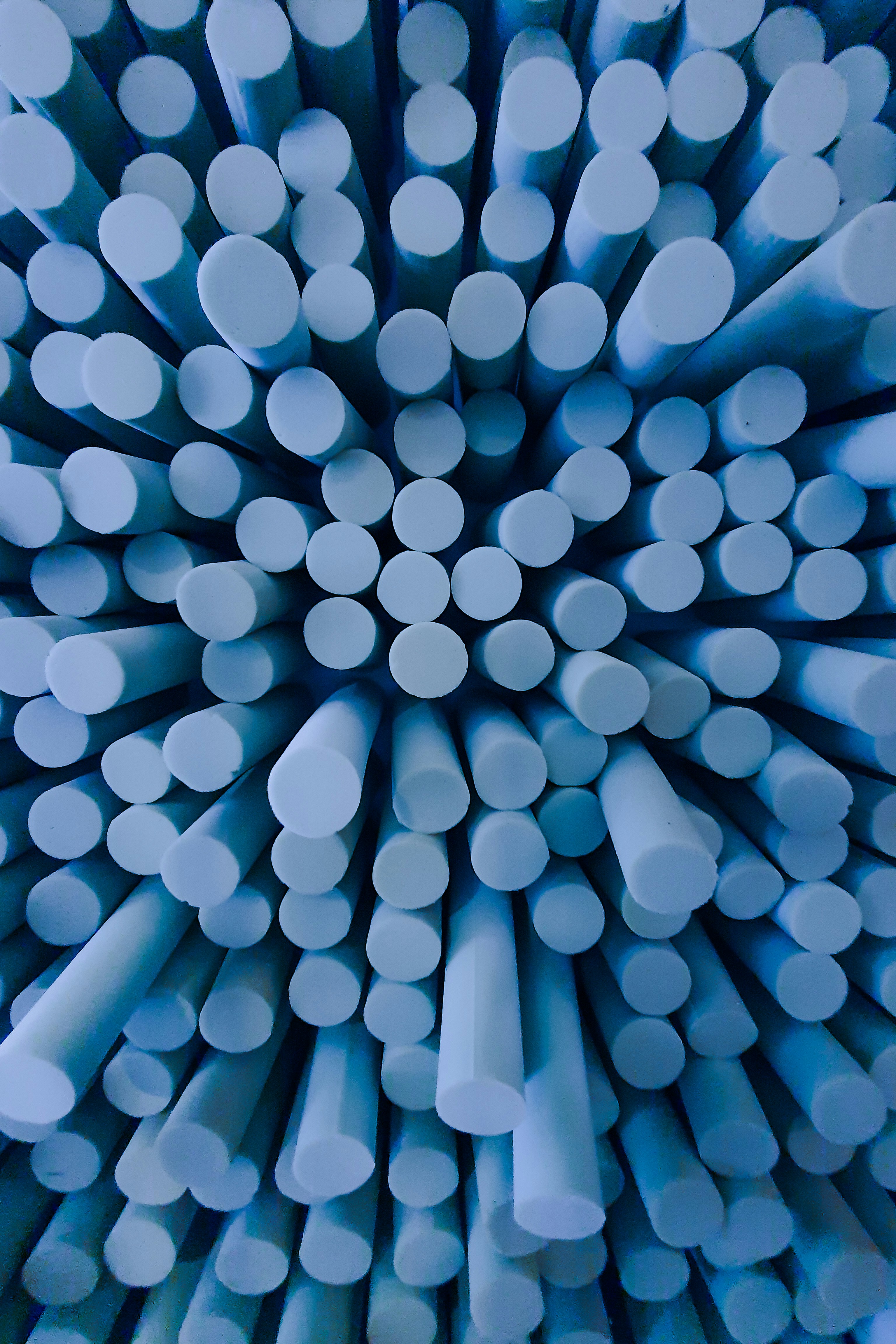 Photo by photocam_est