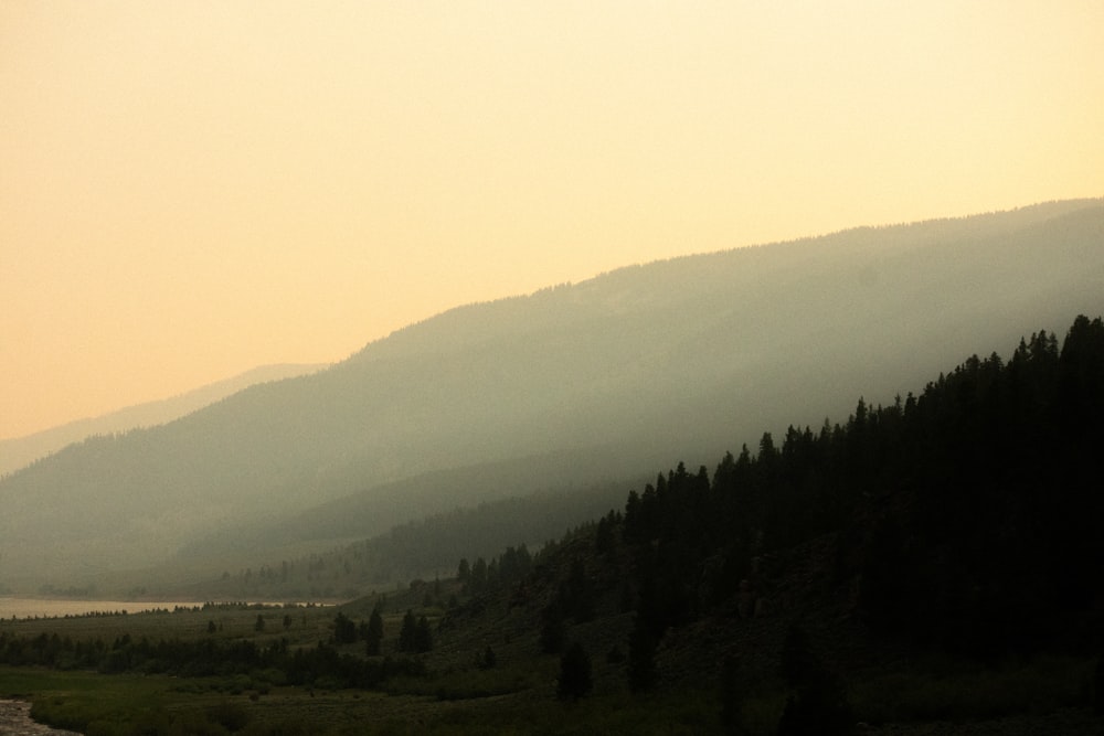 a landscape with trees and hills