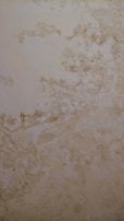 The surface displays various stains or patches that suggest water damage or mildew, with a textured pattern resembling an aged or neglected wall.