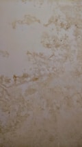 The surface displays various stains or patches that suggest water damage or mildew, with a textured pattern resembling an aged or neglected wall.
