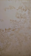 The surface displays various stains or patches that suggest water damage or mildew, with a textured pattern resembling an aged or neglected wall.