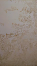 The surface displays various stains or patches that suggest water damage or mildew, with a textured pattern resembling an aged or neglected wall.