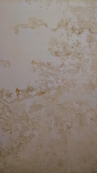 A visual representation of water damage in a home.
