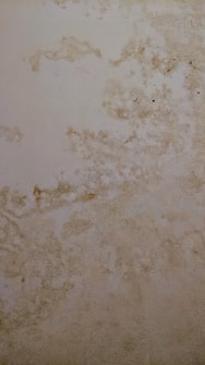 The surface displays various stains or patches that suggest water damage or mildew, with a textured pattern resembling an aged or neglected wall.