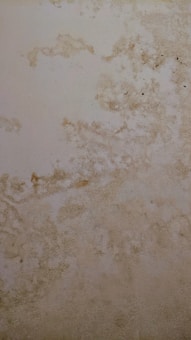 The surface displays various stains or patches that suggest water damage or mildew, with a textured pattern resembling an aged or neglected wall.