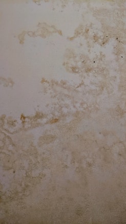 The surface displays various stains or patches that suggest water damage or mildew, with a textured pattern resembling an aged or neglected wall.