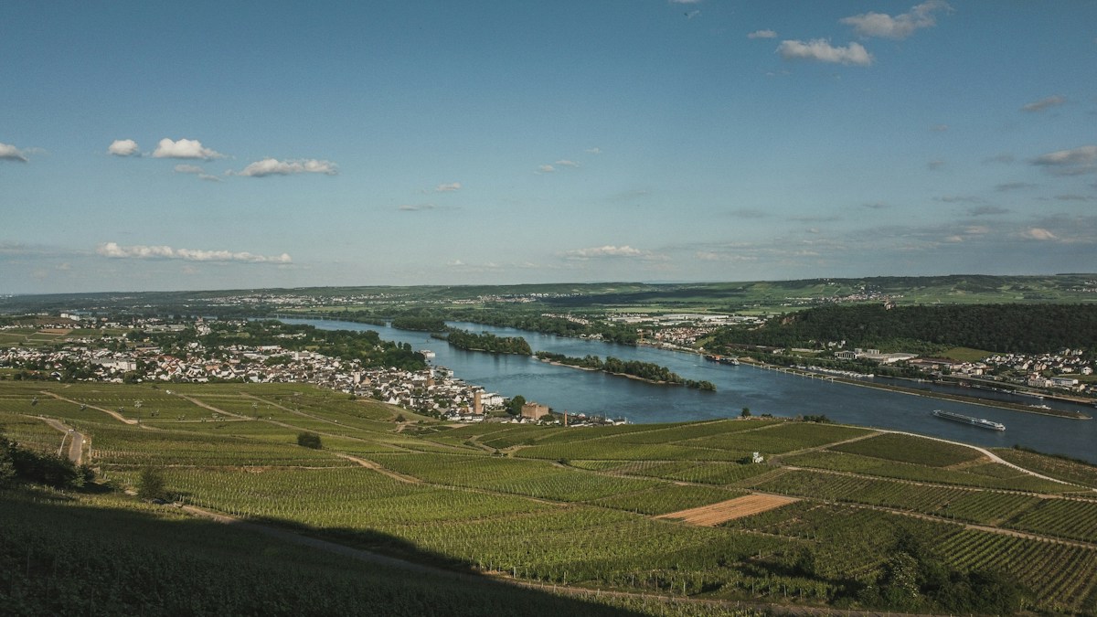 Rüdesheim