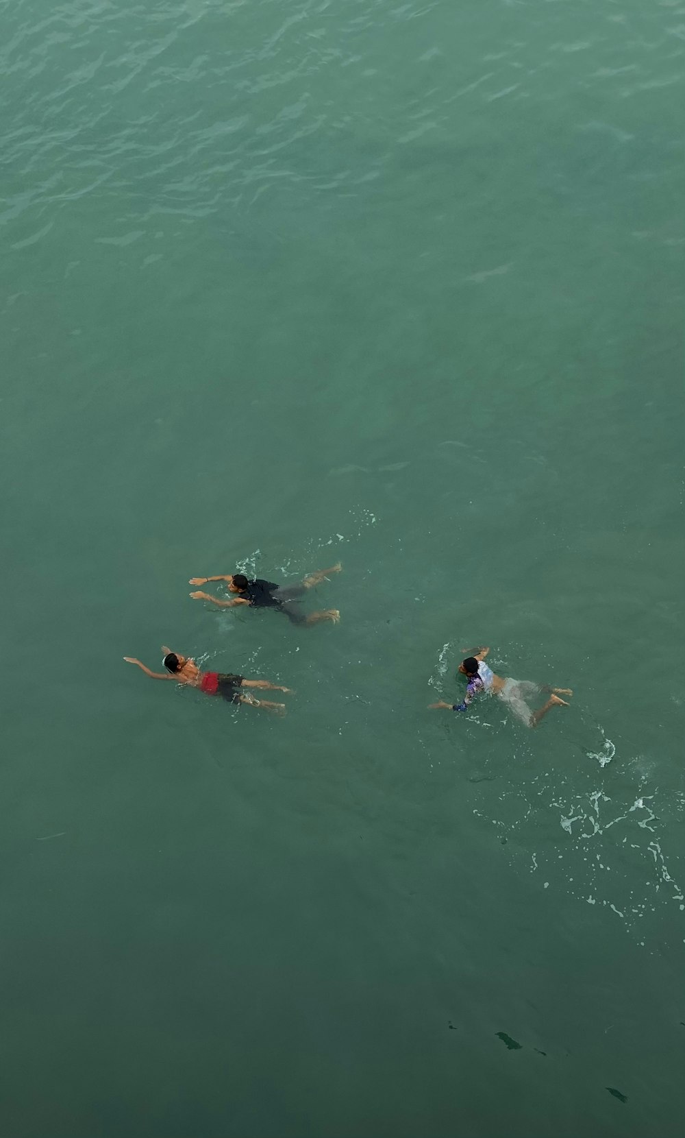 a group of people swimming in the water