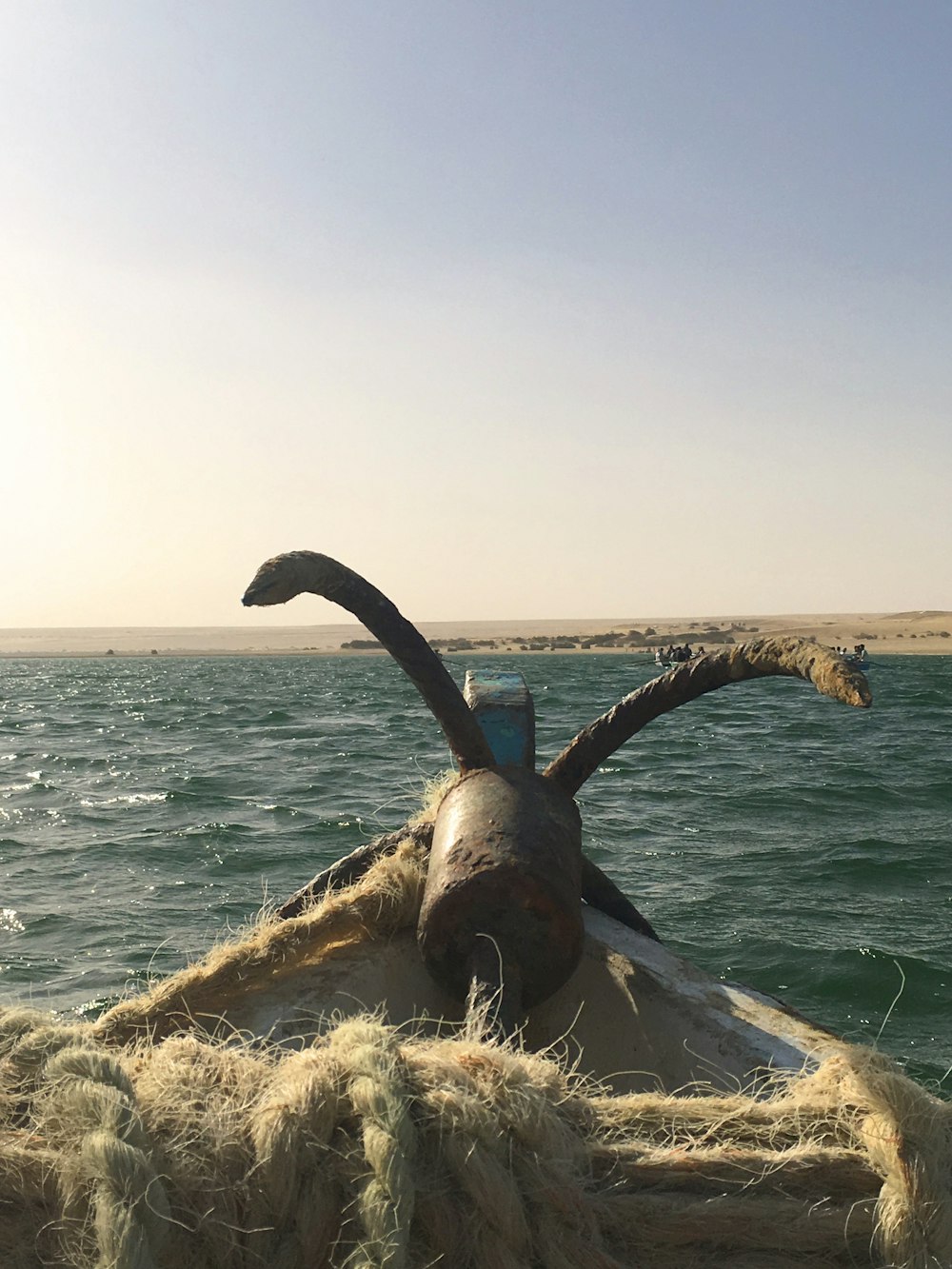 a statue of a horned animal on a rock by the water