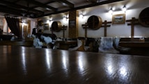 The interior of a cozy restaurant or bar is depicted, featuring wooden furniture and rustic decor. The walls are adorned with round wooden barrel lids and a couple of framed pictures. Several chairs and benches are covered with animal furs, enhancing the rustic ambiance. The lighting is warm and soft, provided by wall-mounted lamps that create a welcoming atmosphere.