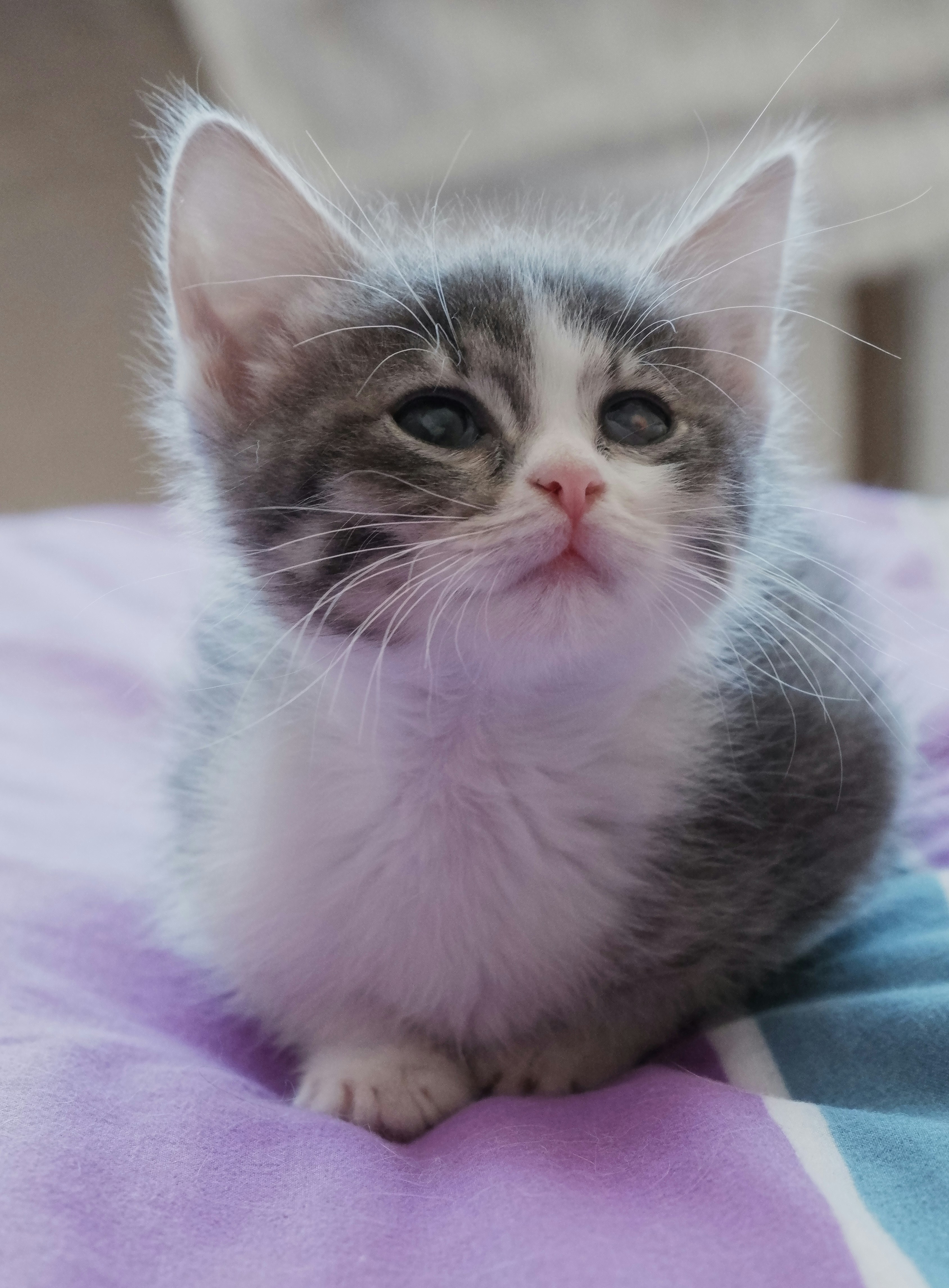 Photo by russellfoto