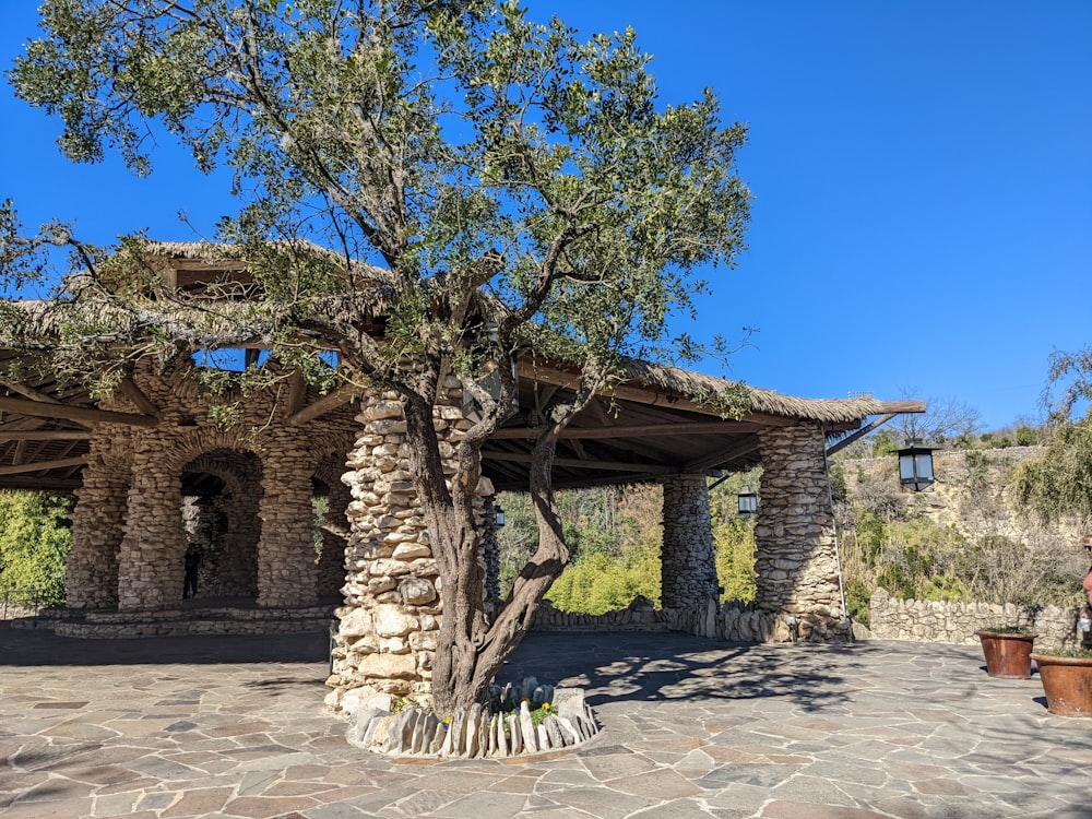 a tree in front of a building