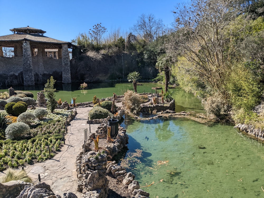 a garden with a pond and a house in the background