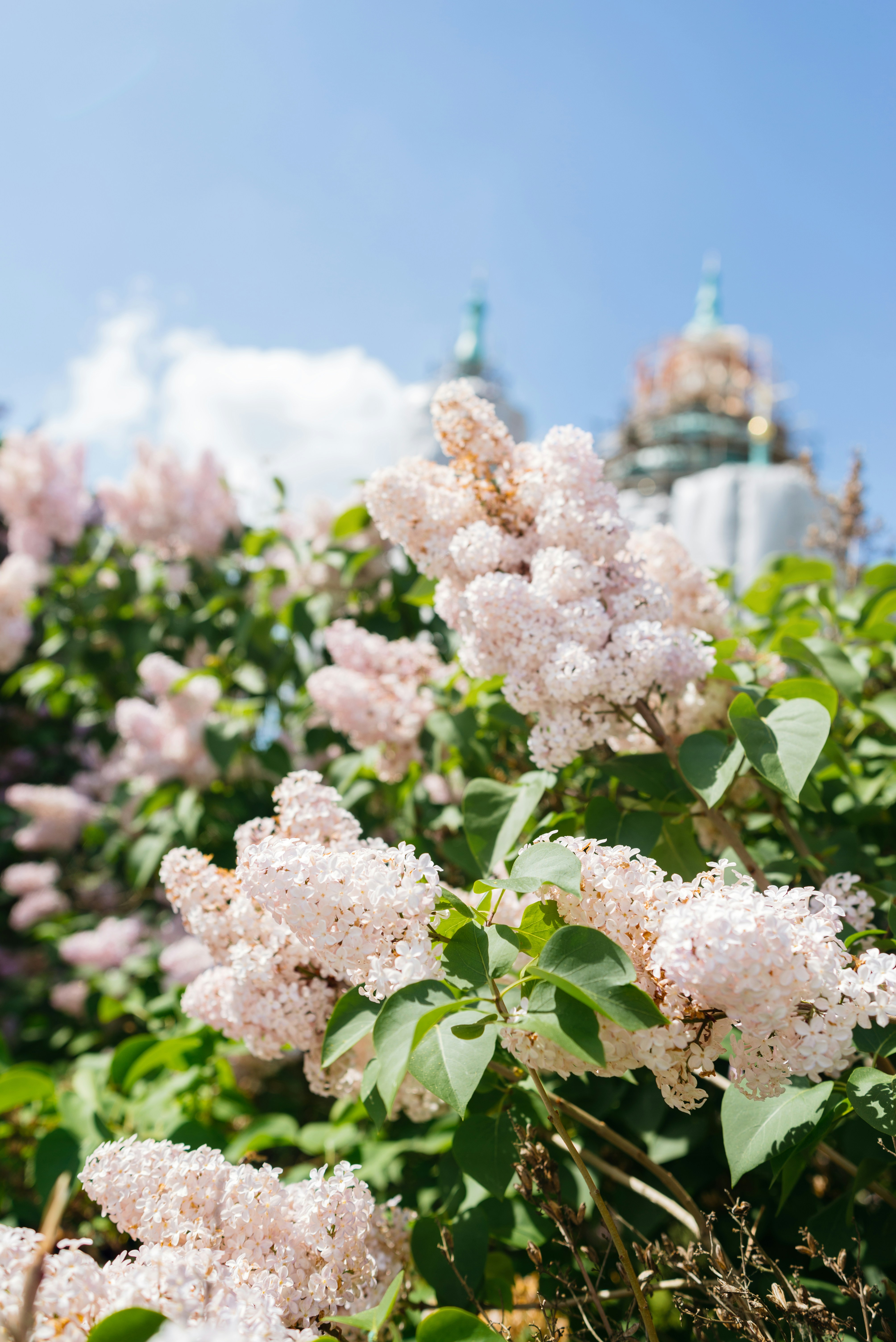 초록 숨결, 마음 쉼표: 자연이 주는 최고의 휴식 처방