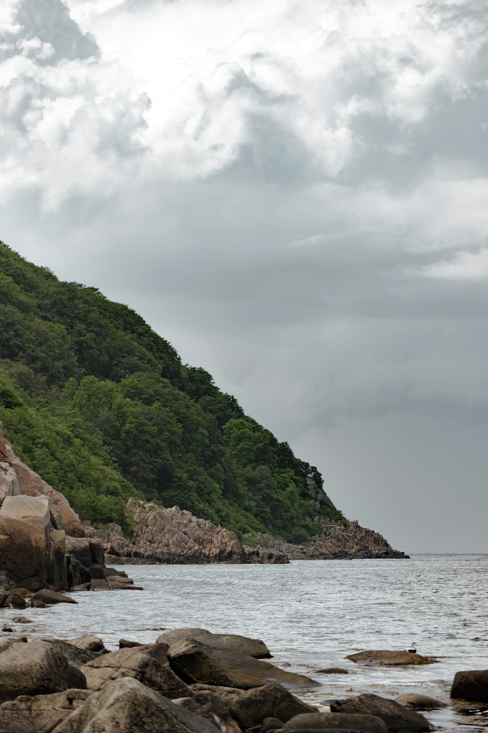 a rocky beach with a hill and trees on the side