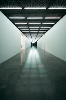 Bright hallway with pristine white walls and sharp edges, emphasizing clean lines and detail