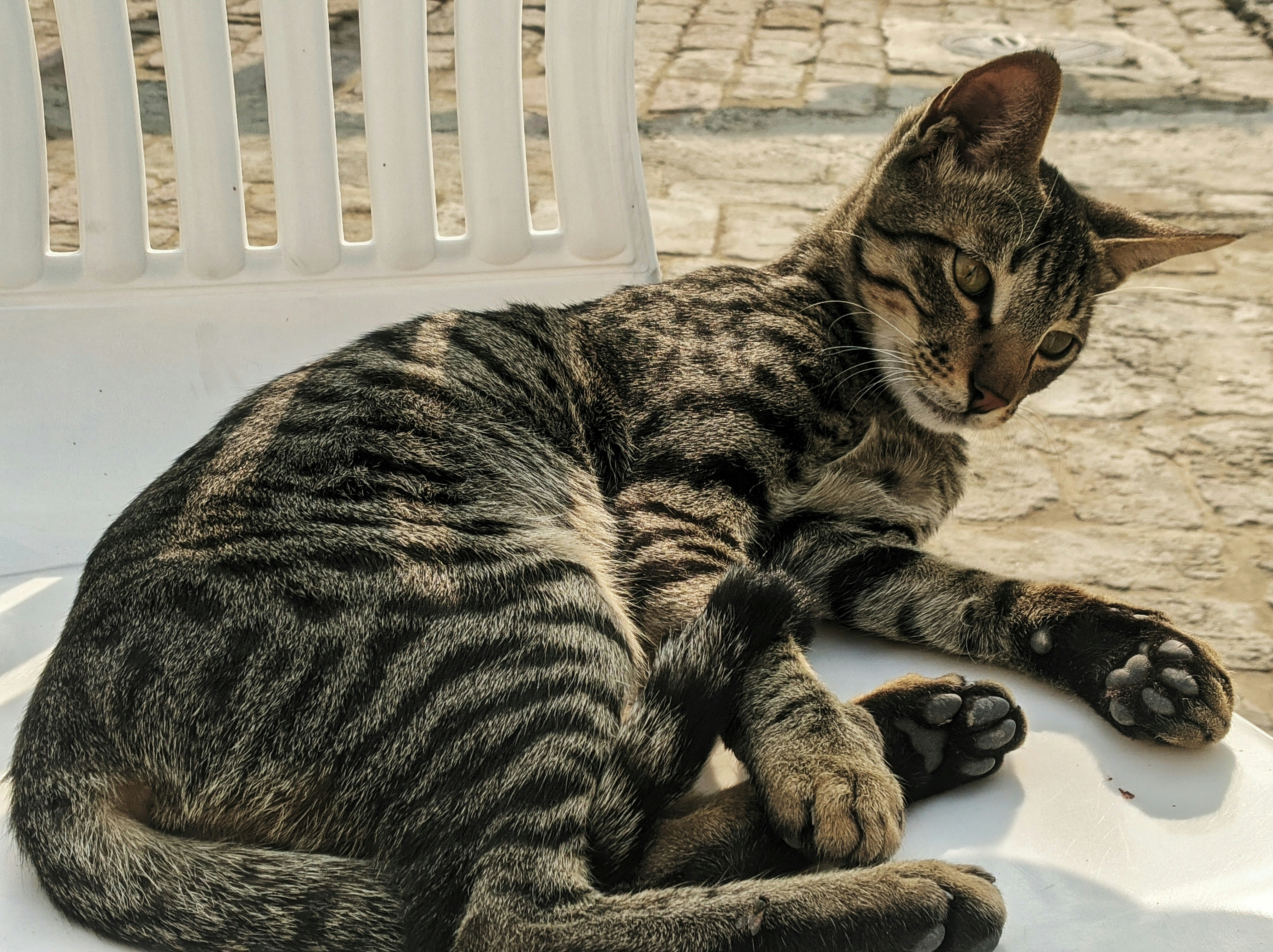 Photo by ashishmughal