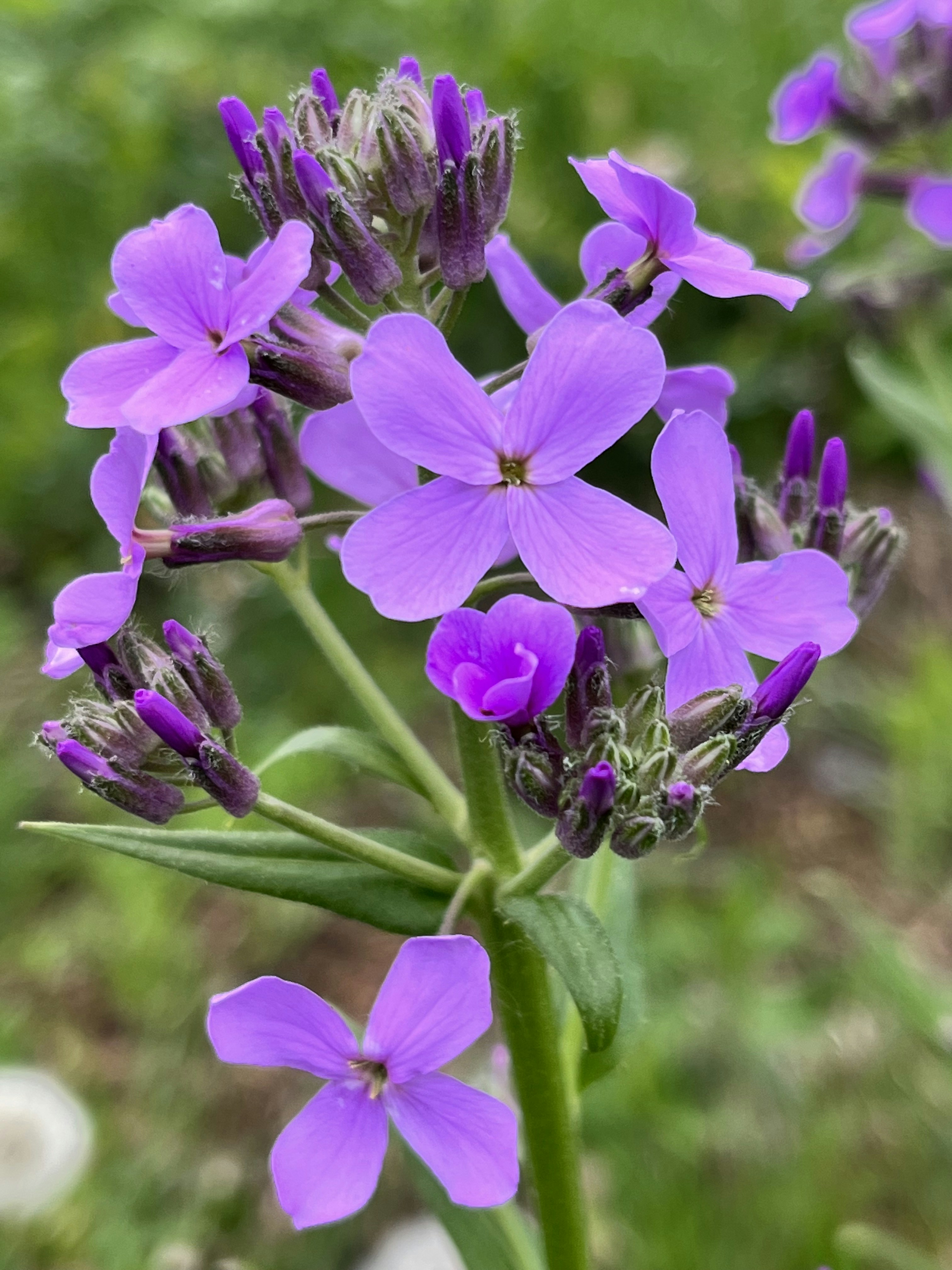 Photo by keniavallejos