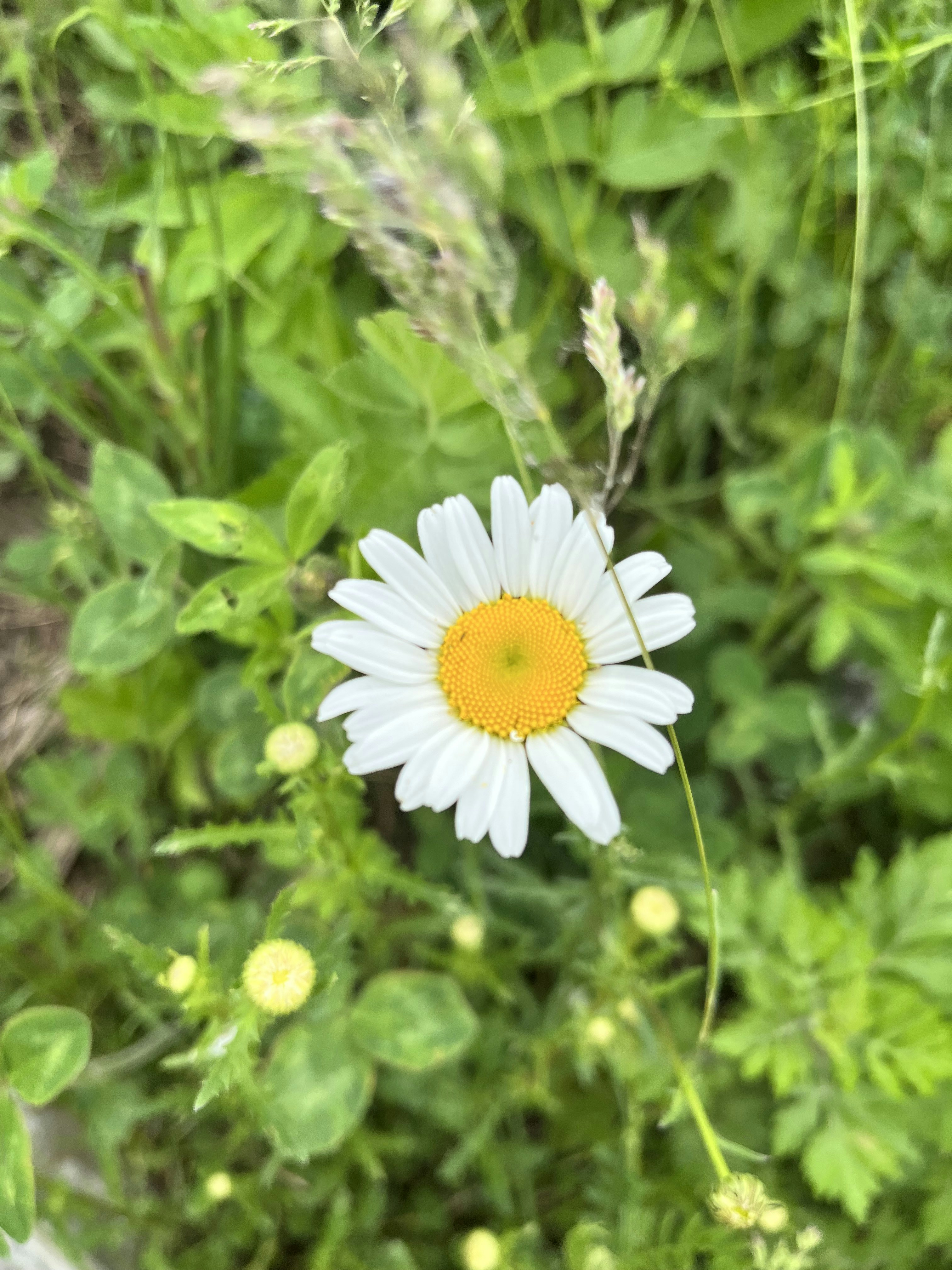 Photo by keniavallejos