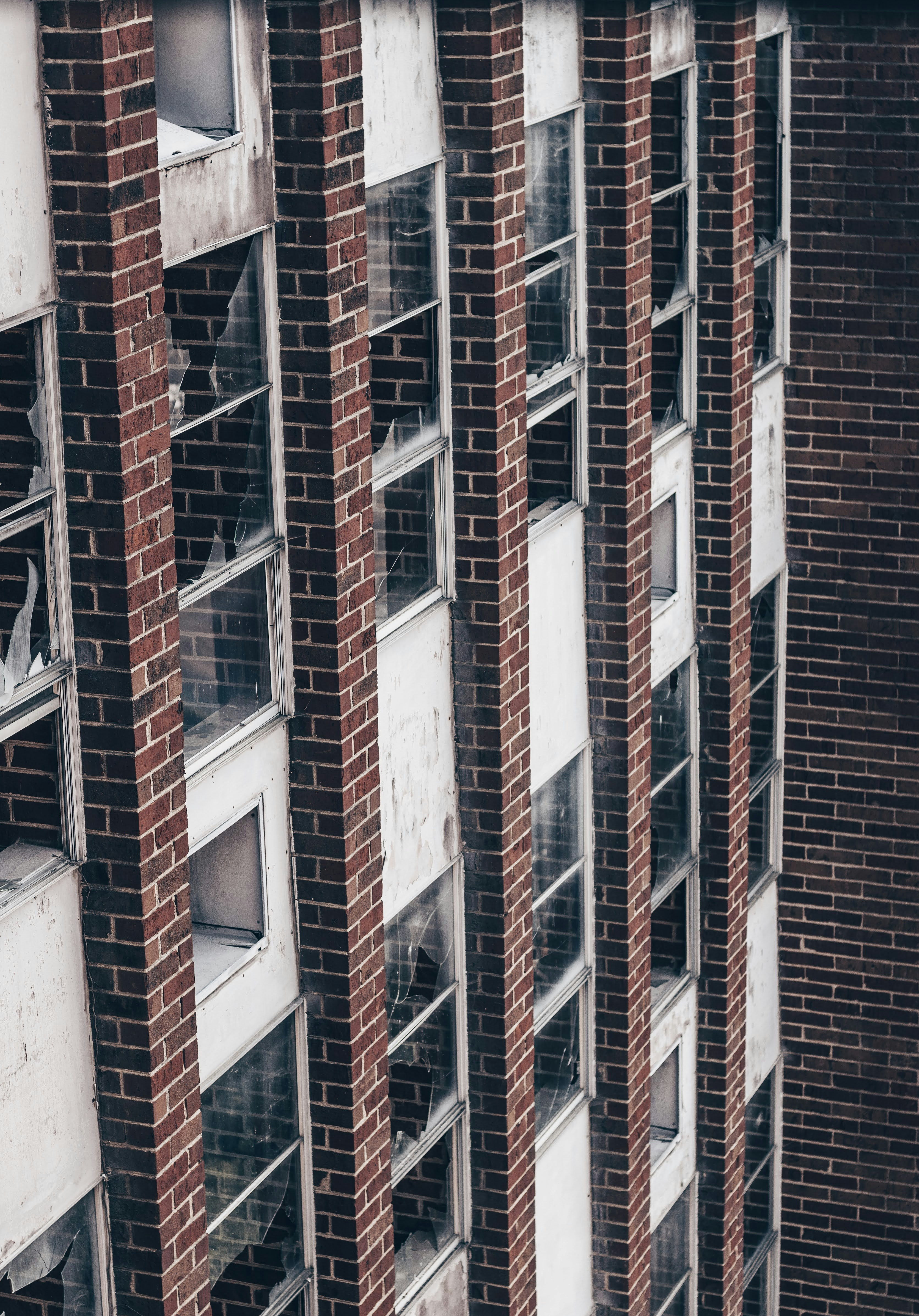 Photo by brice_cooper18