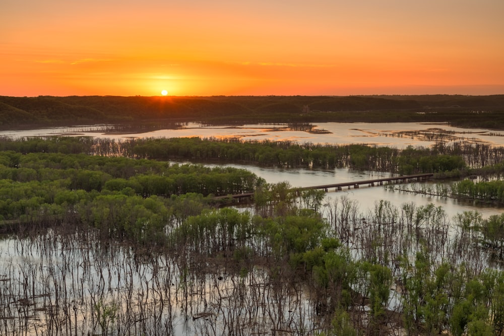 a river with trees and a sunset