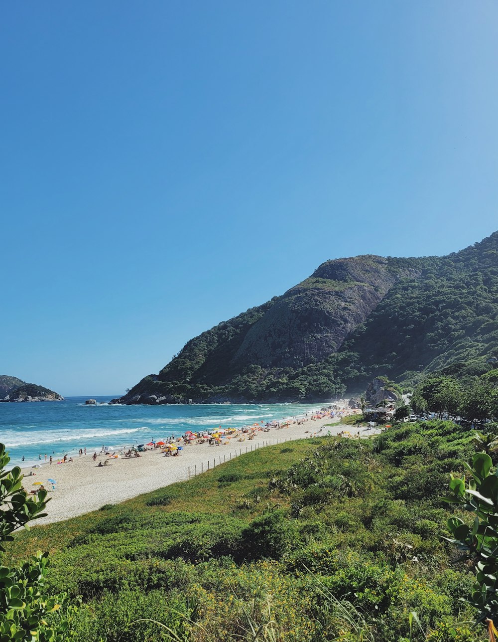 a beach with people on it