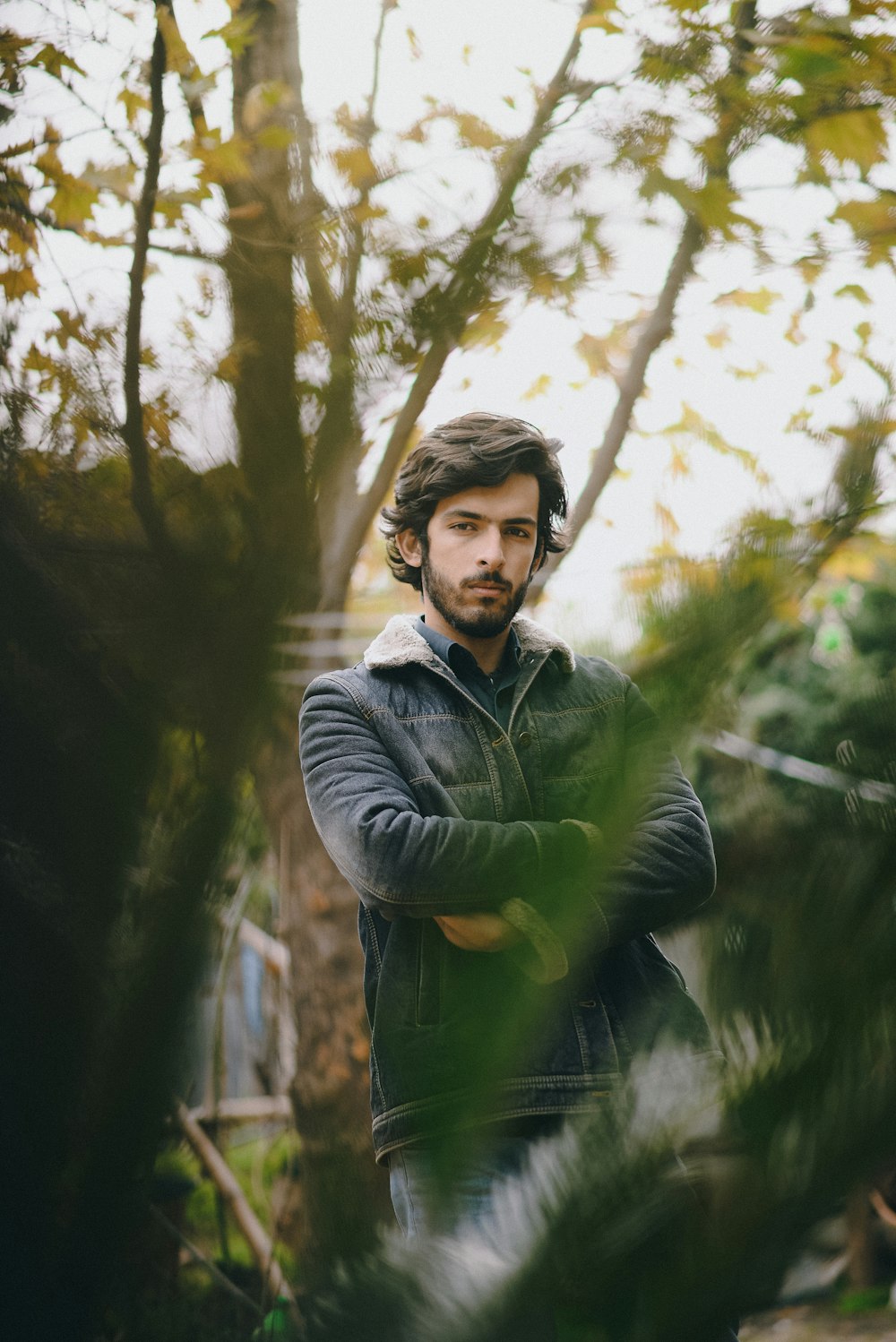 a person standing in a forest