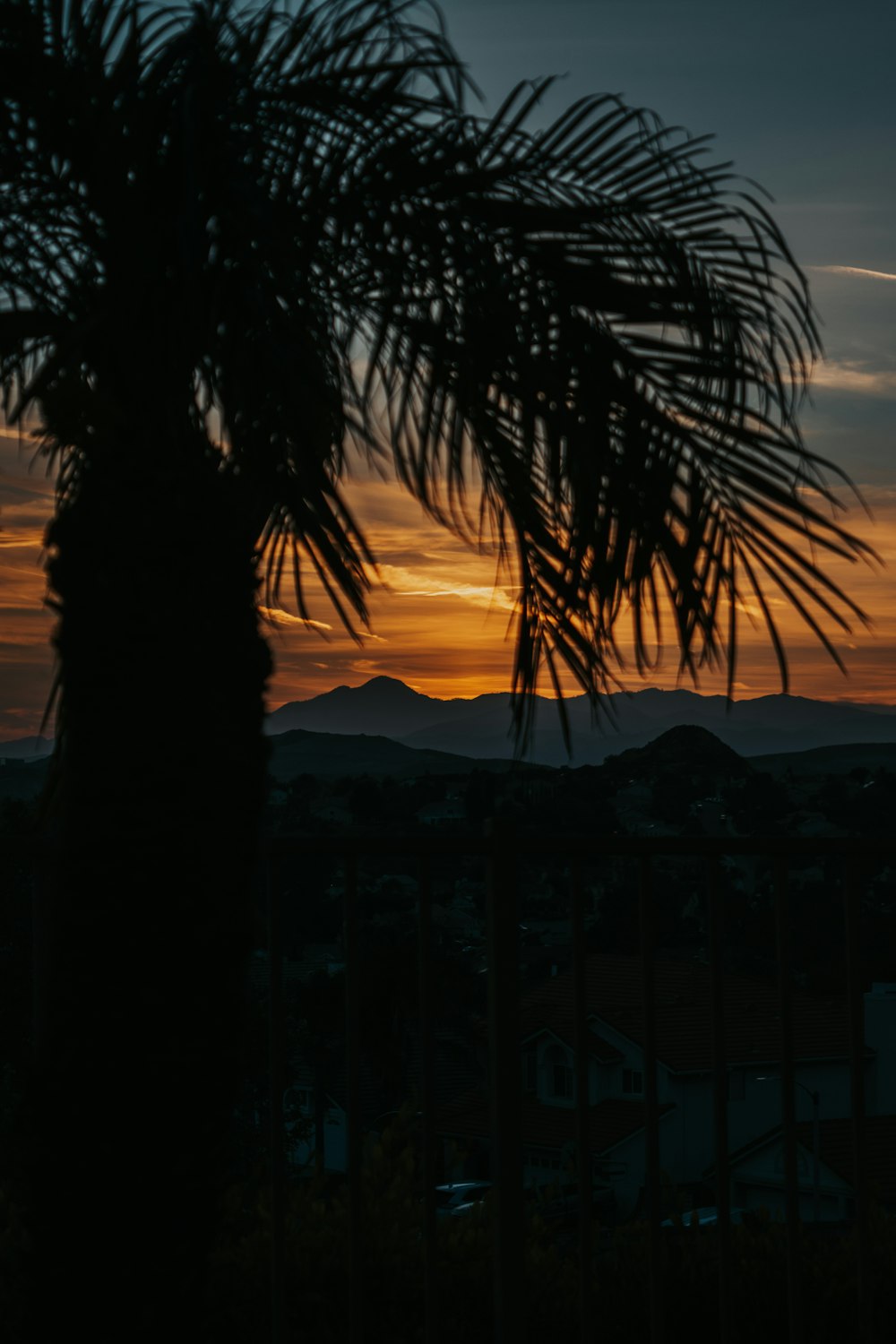 Die Silhouette eines Baumes und ein Sonnenuntergang