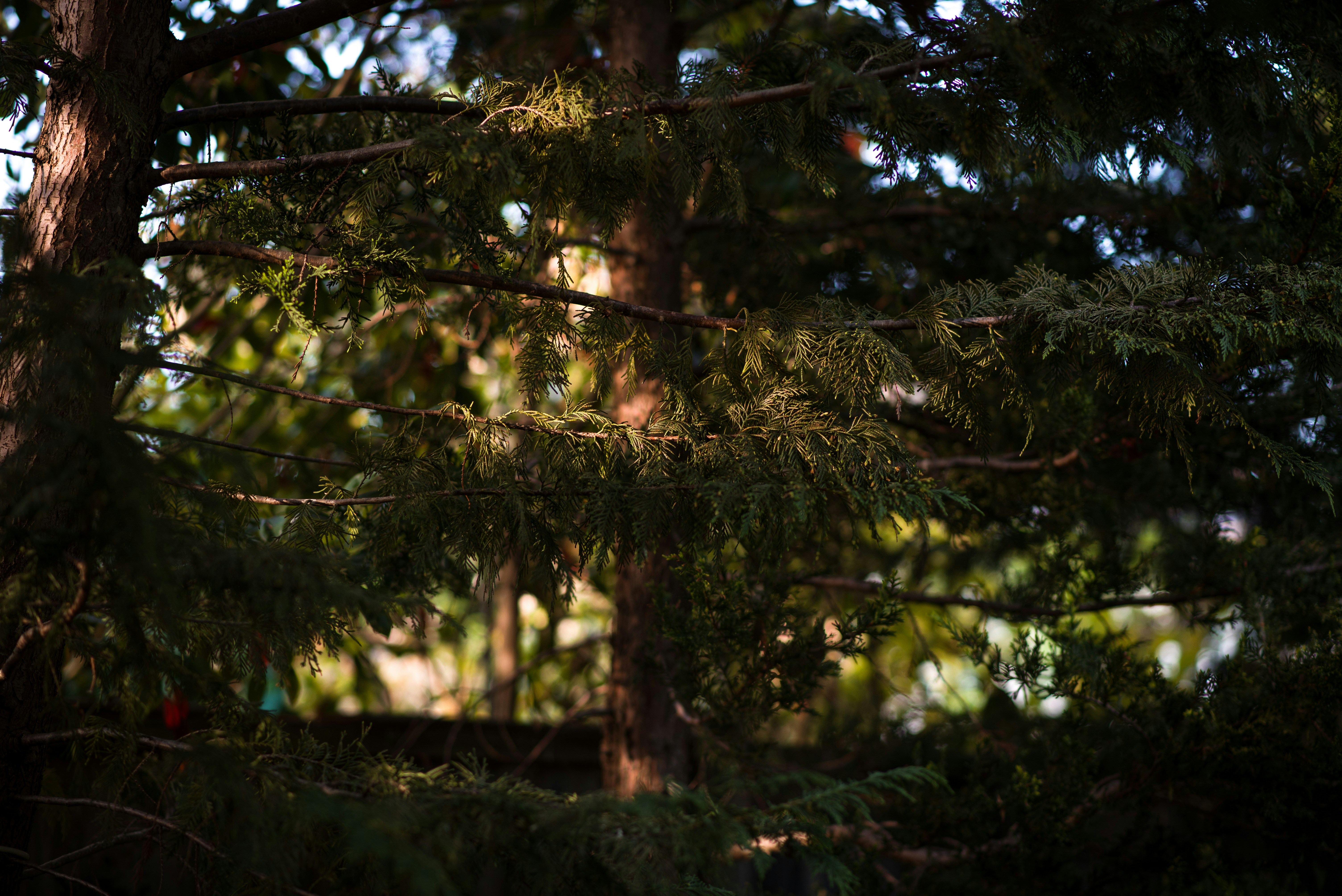 Photo by ellyendeavours