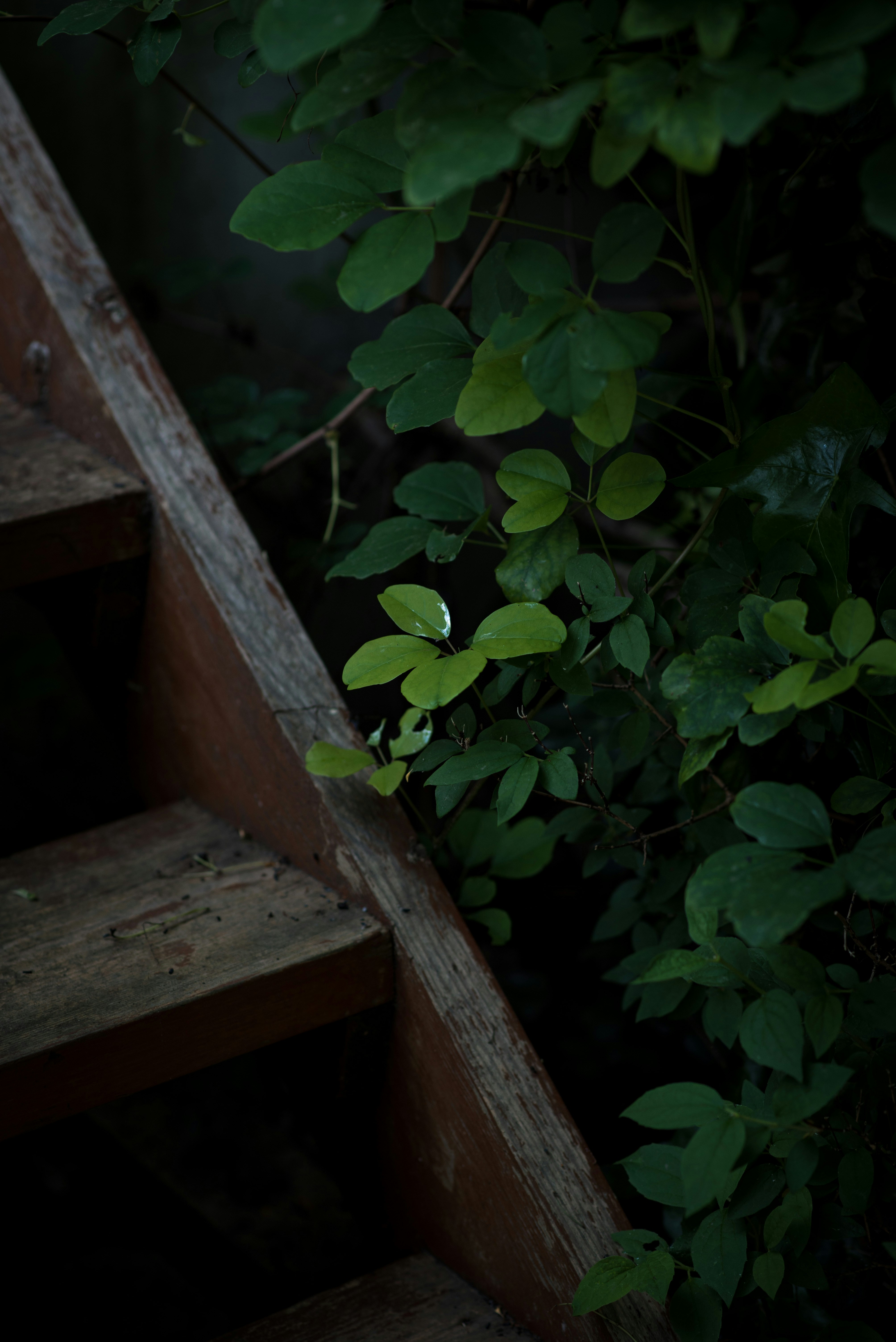 Photo by ellyendeavours