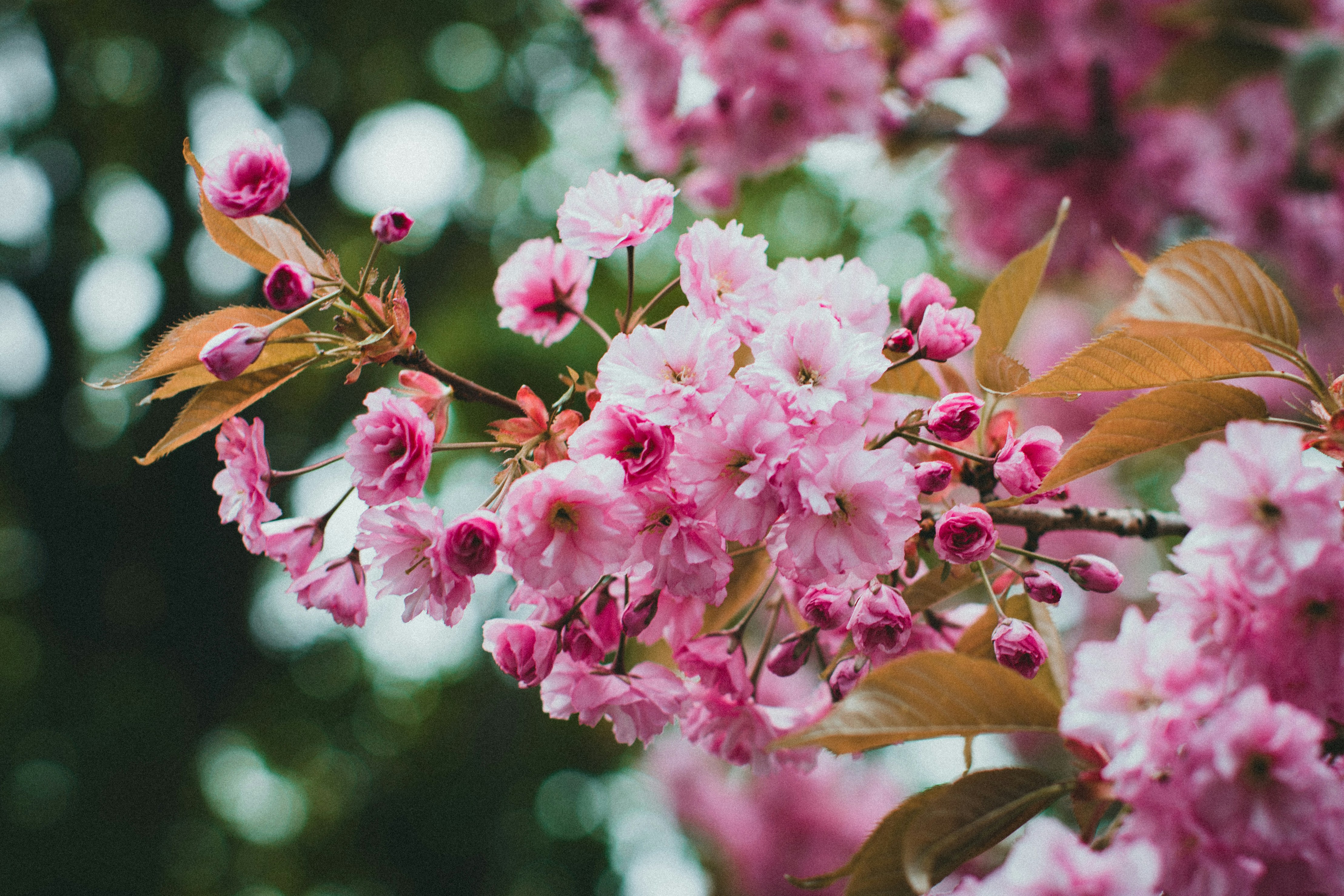 Photo by theshuttervision