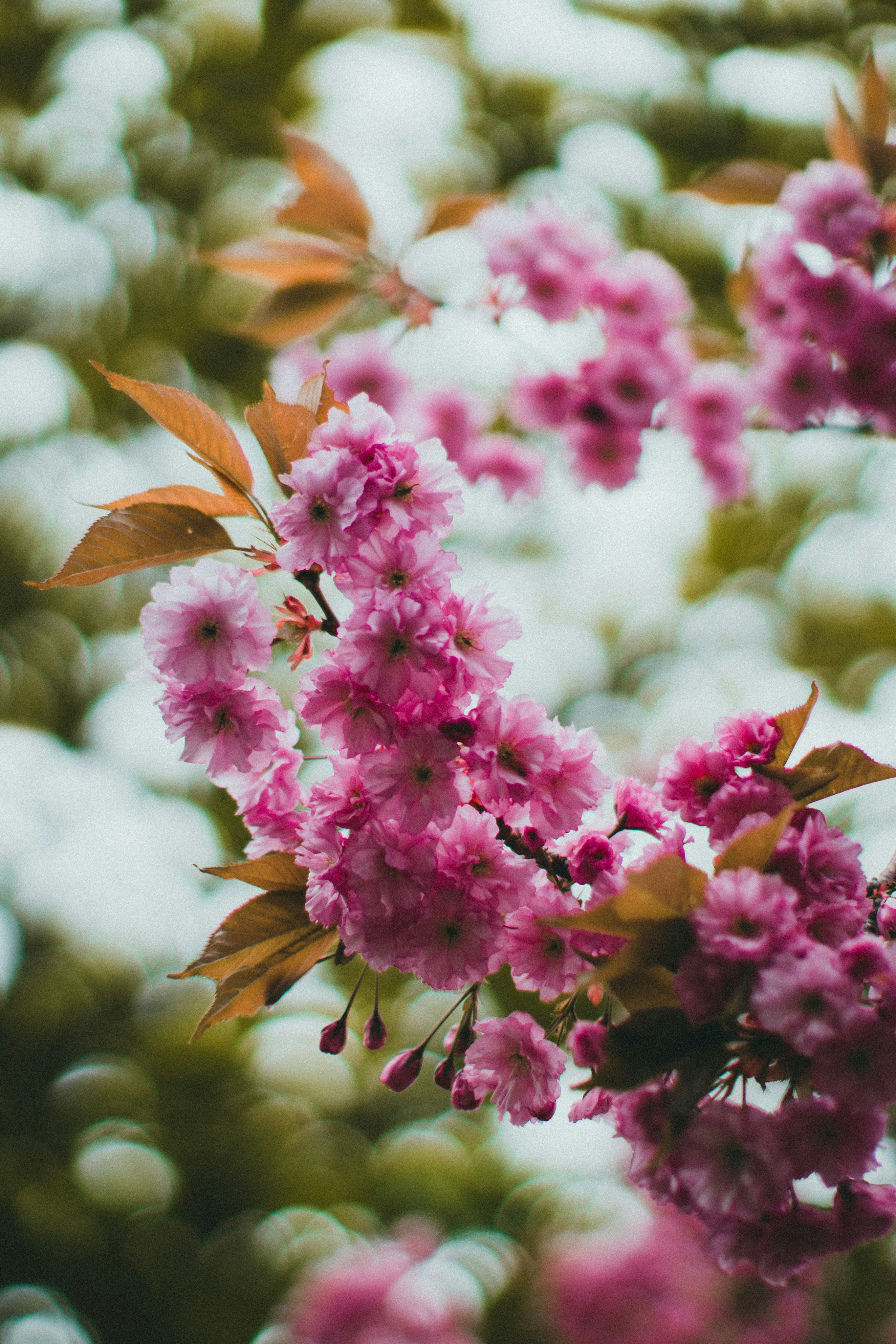 Photo by theshuttervision