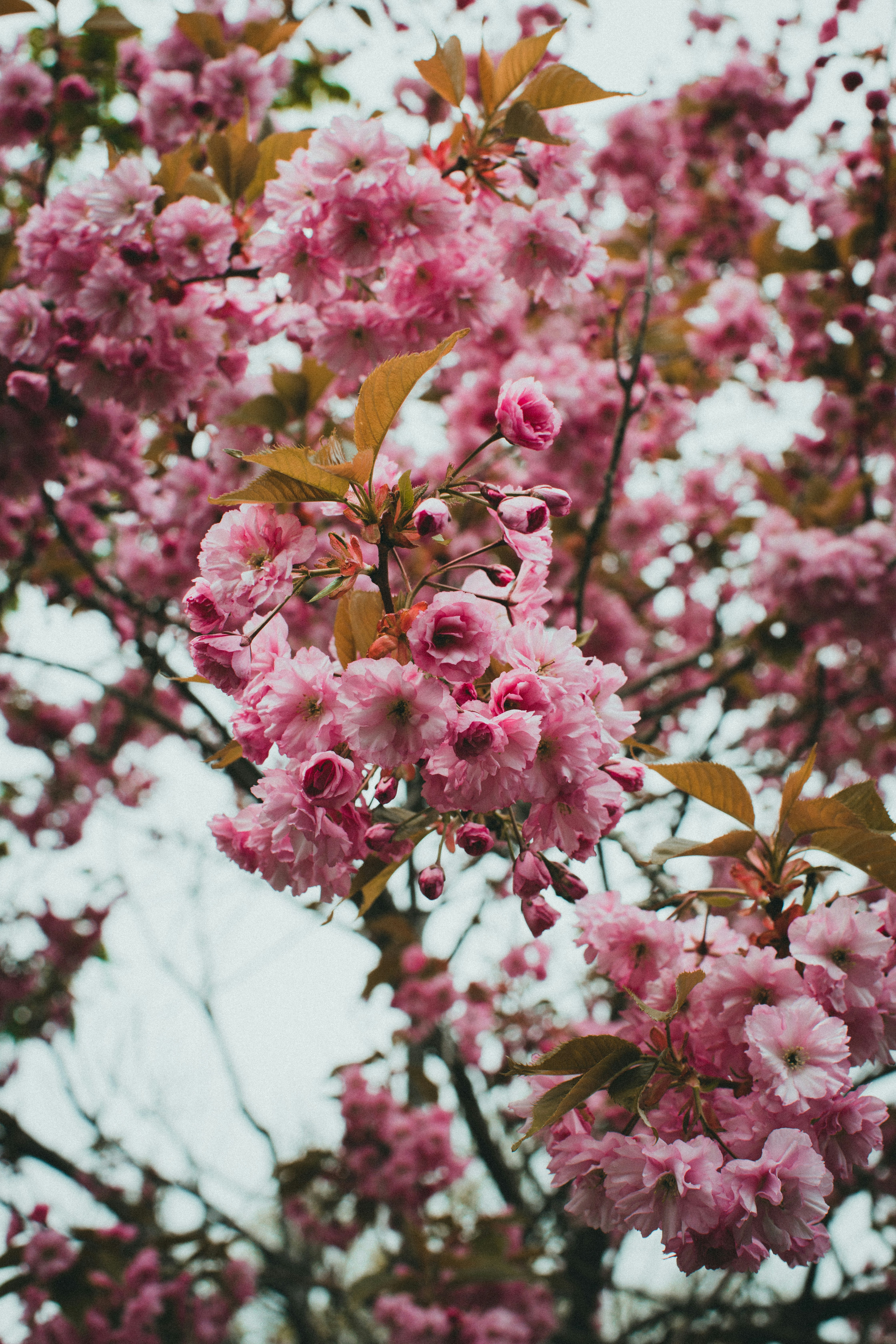 Photo by theshuttervision