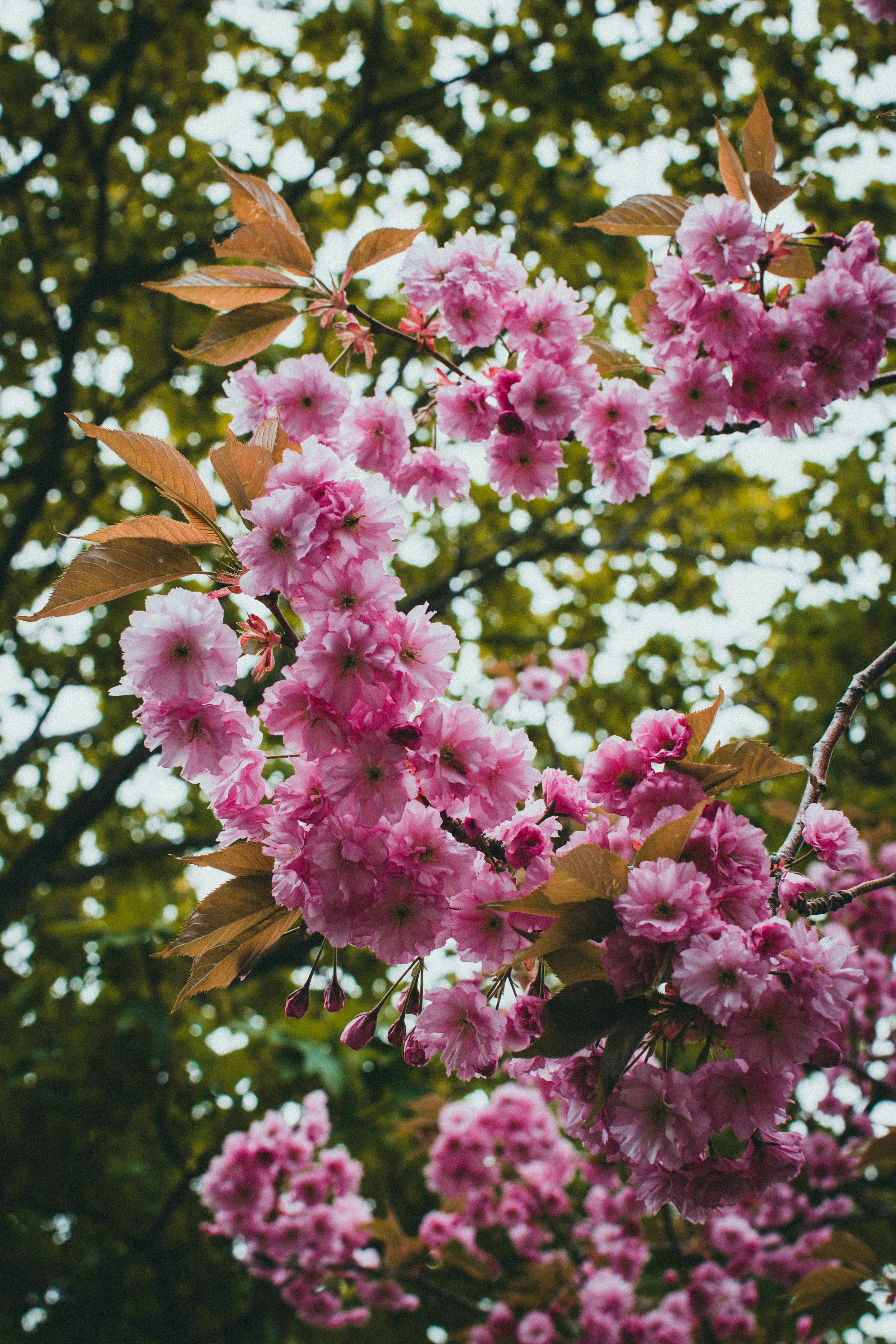 Photo by theshuttervision