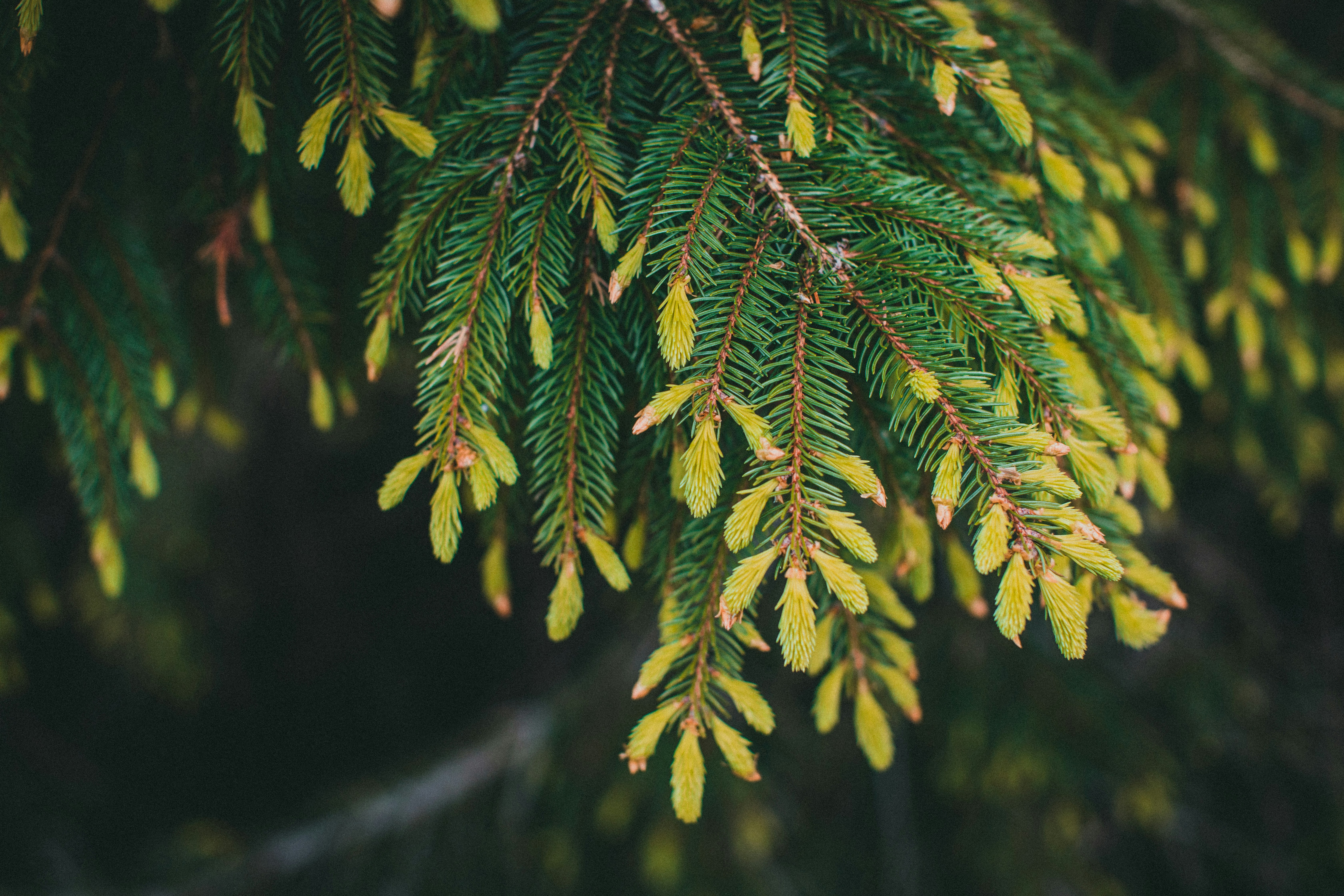 Photo by theshuttervision