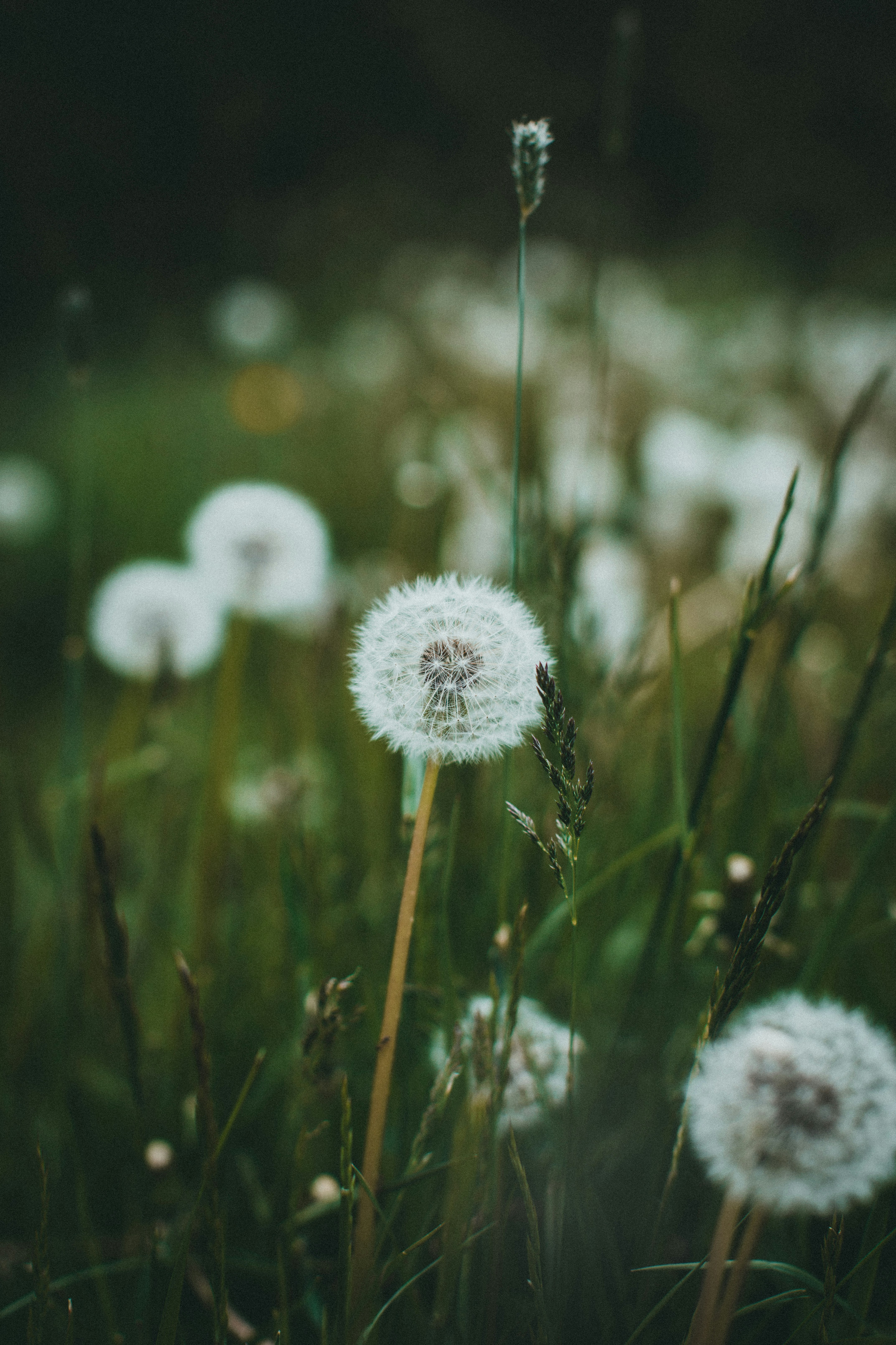 Photo by theshuttervision