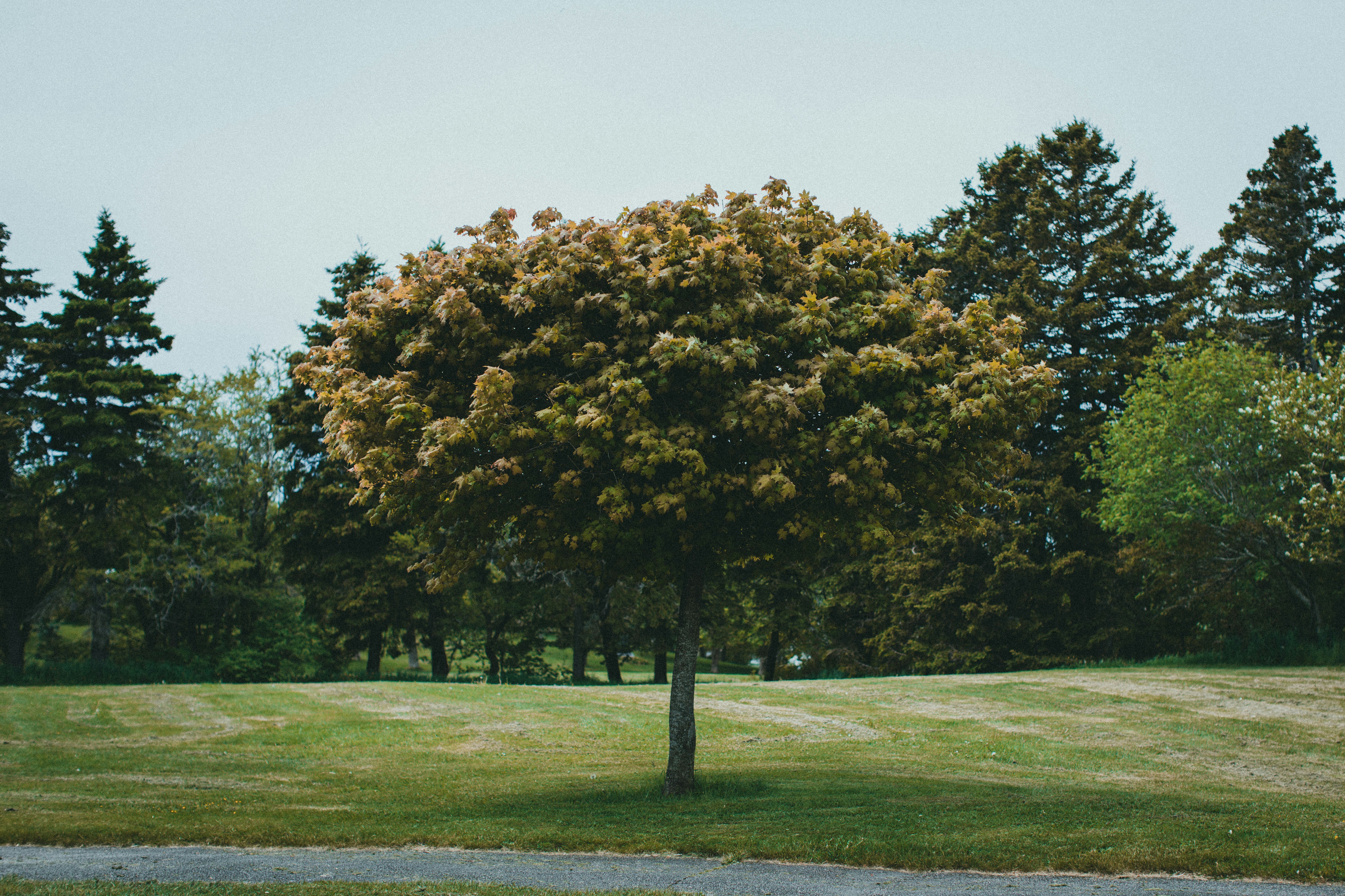 Photo by theshuttervision