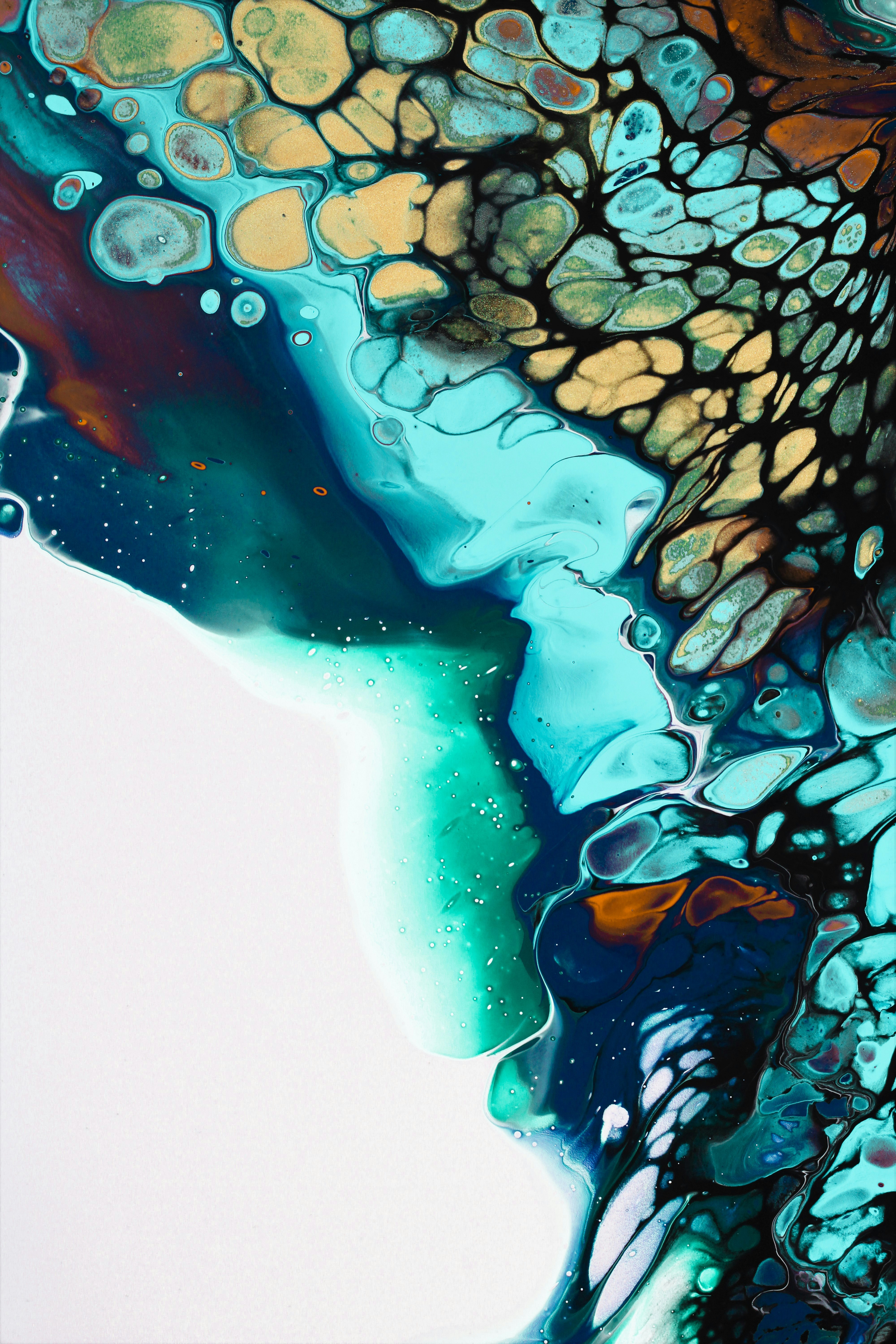 Photo by susan_wilkinson