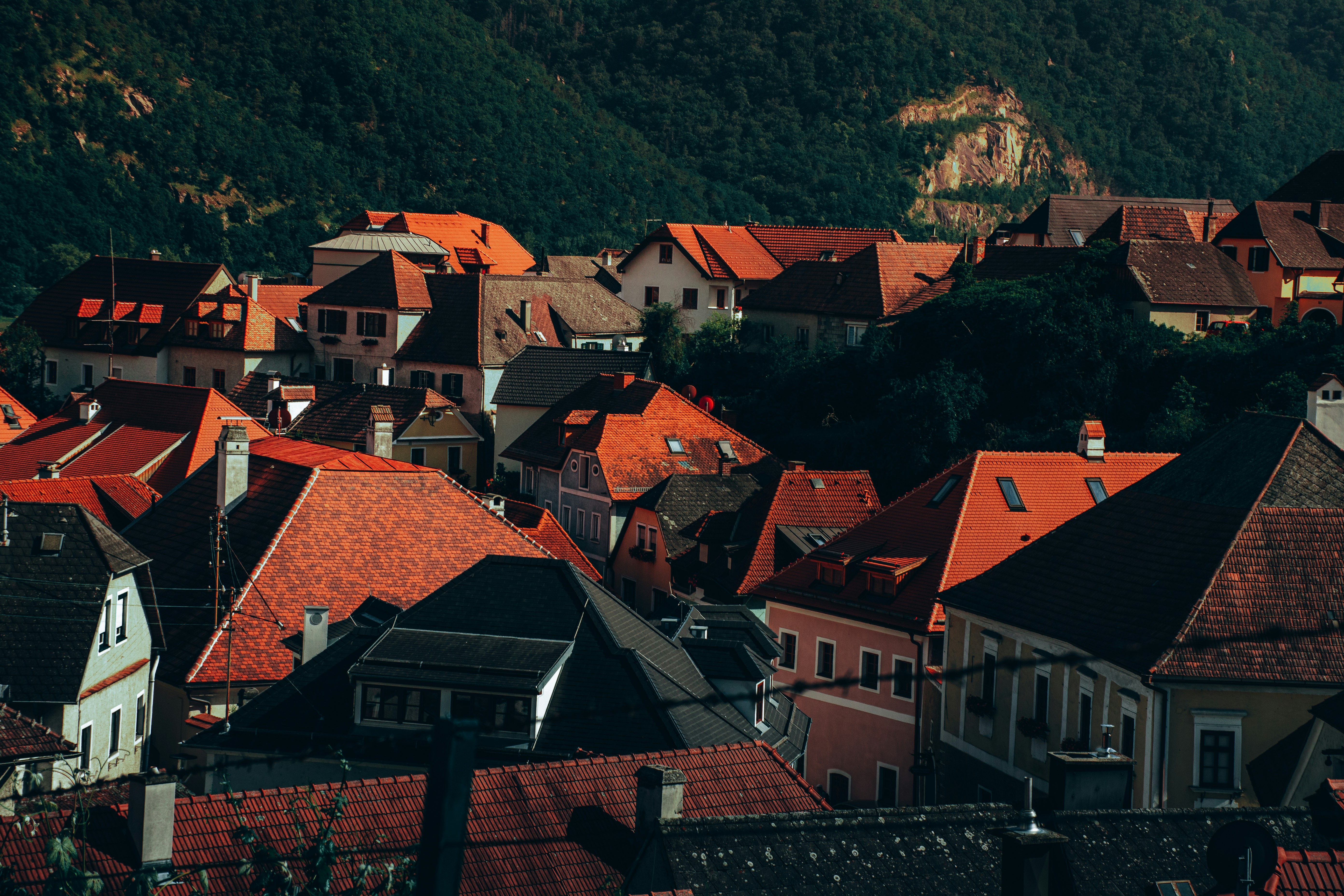 Photo by denisbayer