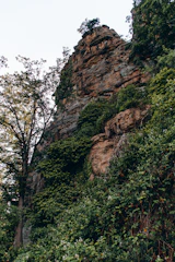 Geologists examining rock samples near a drilling site surrounded by lush greenery.