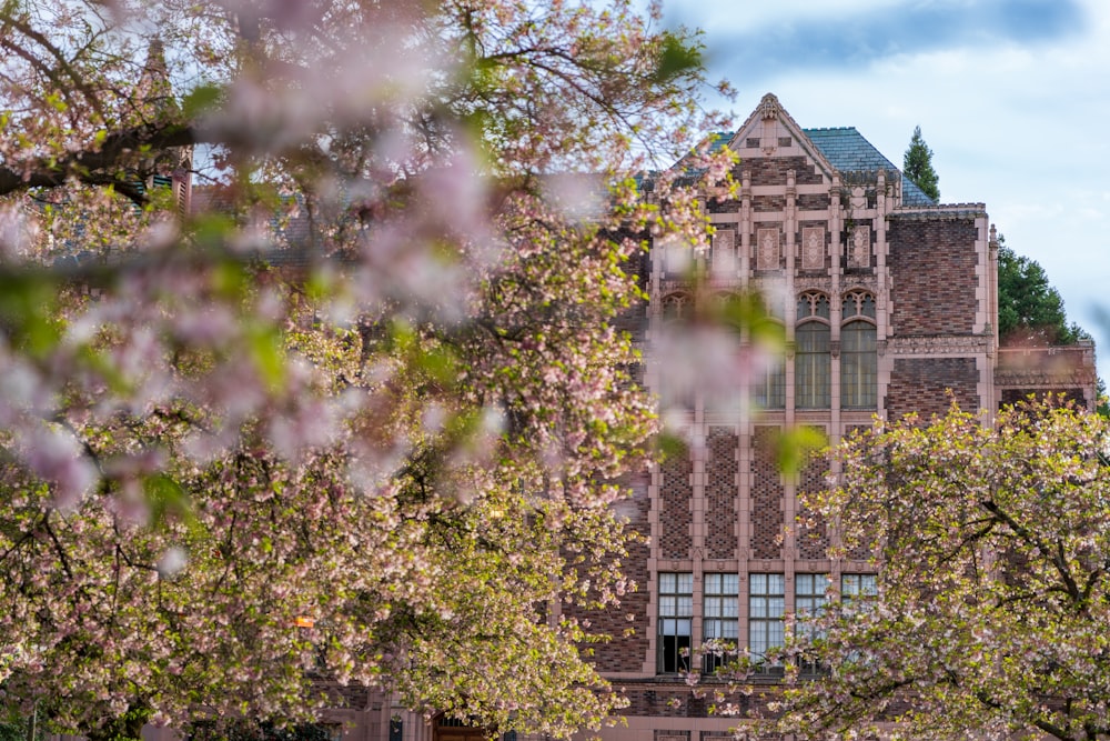 a building with many windows and trees in front of it