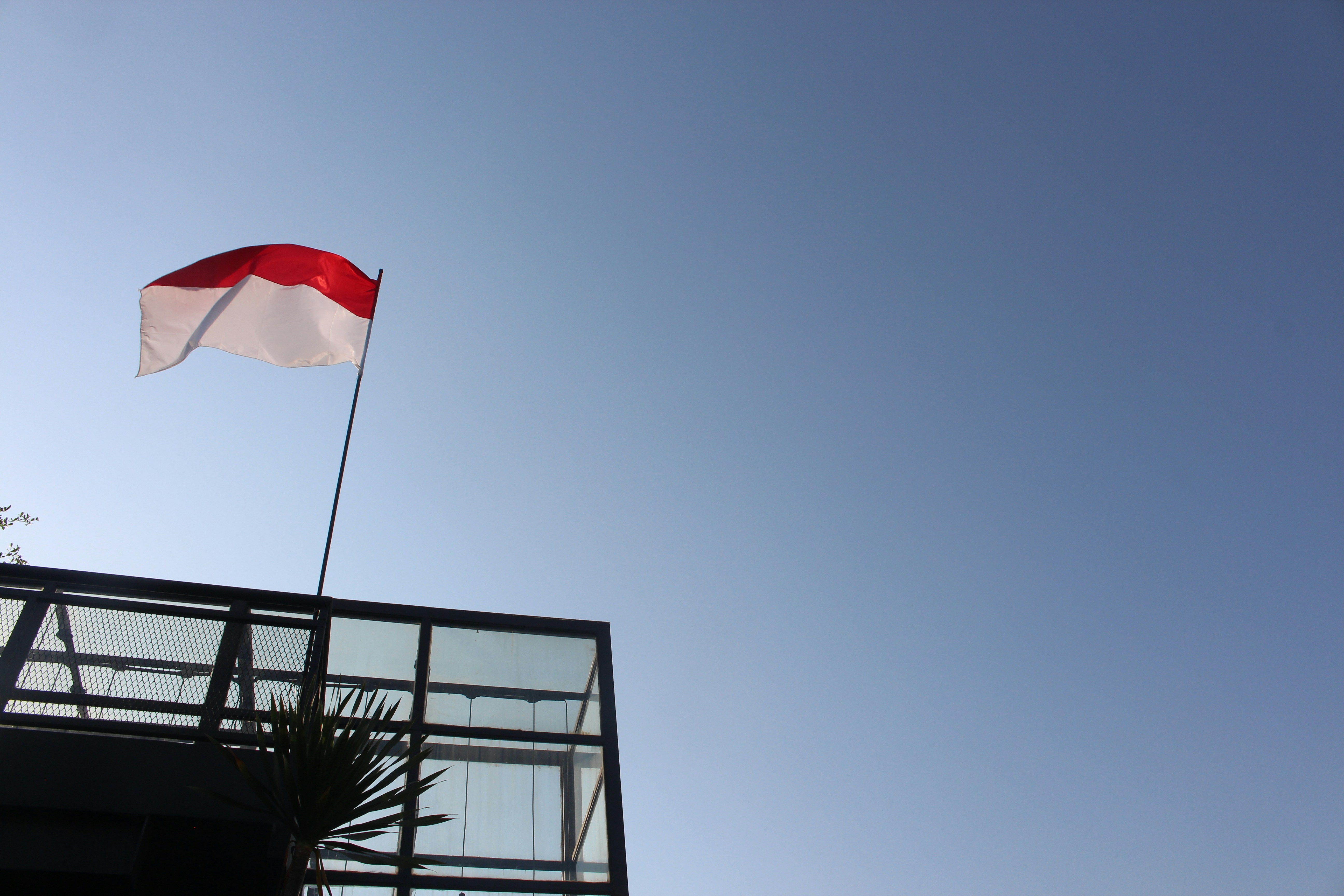 Bendera berkibar di tiang