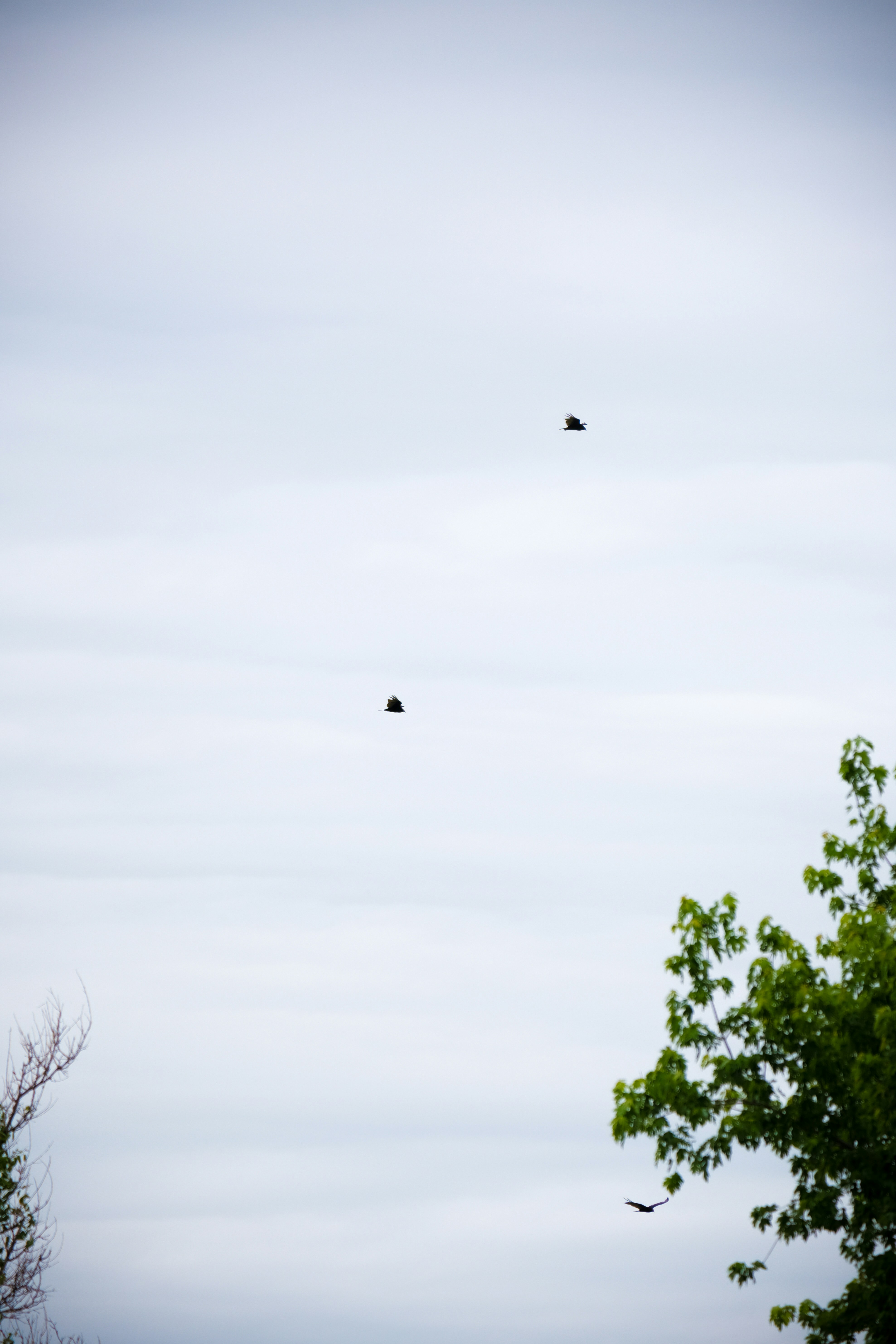 Photo by consoledotlog