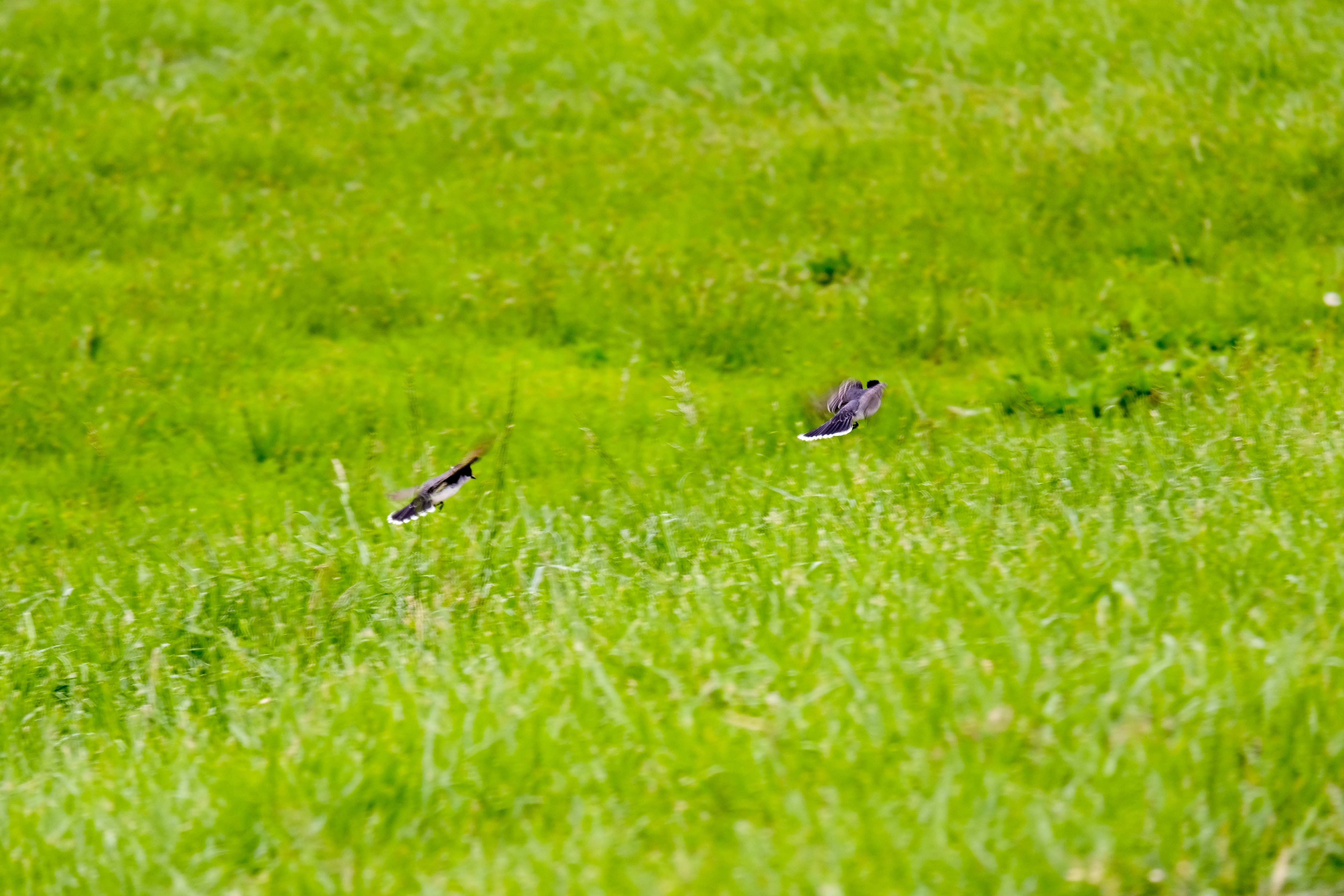 Photo by consoledotlog