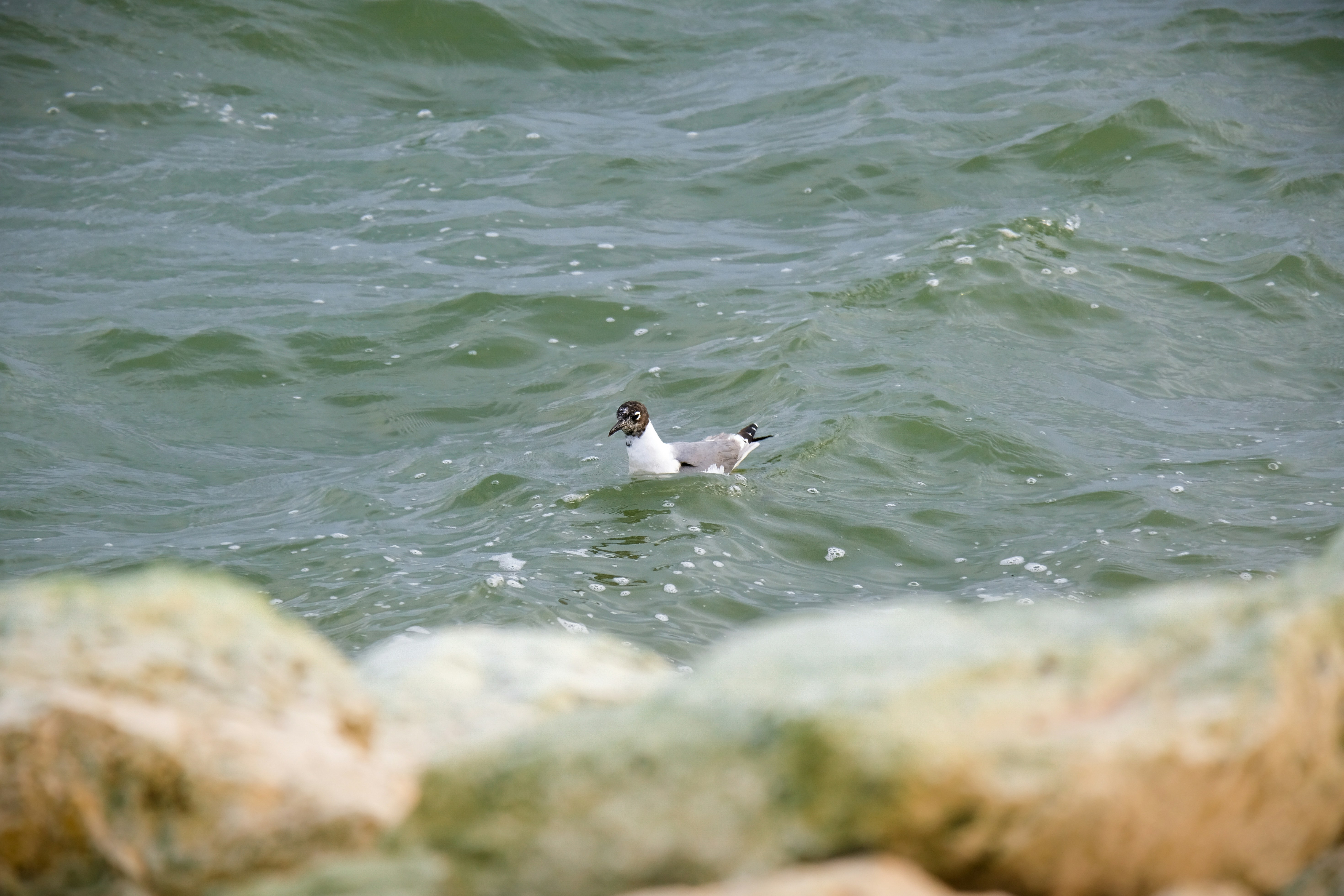 Photo by consoledotlog