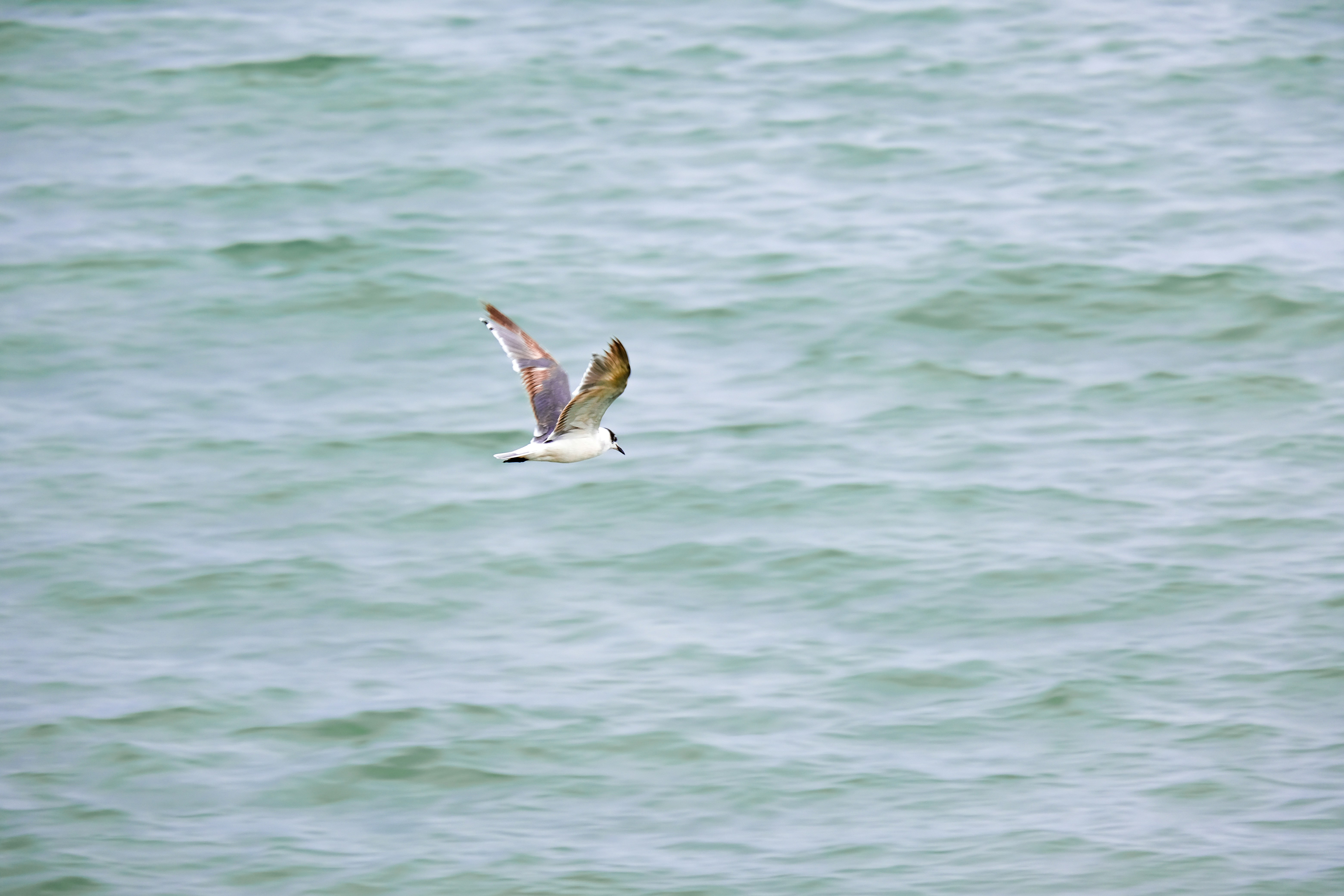 Photo by consoledotlog