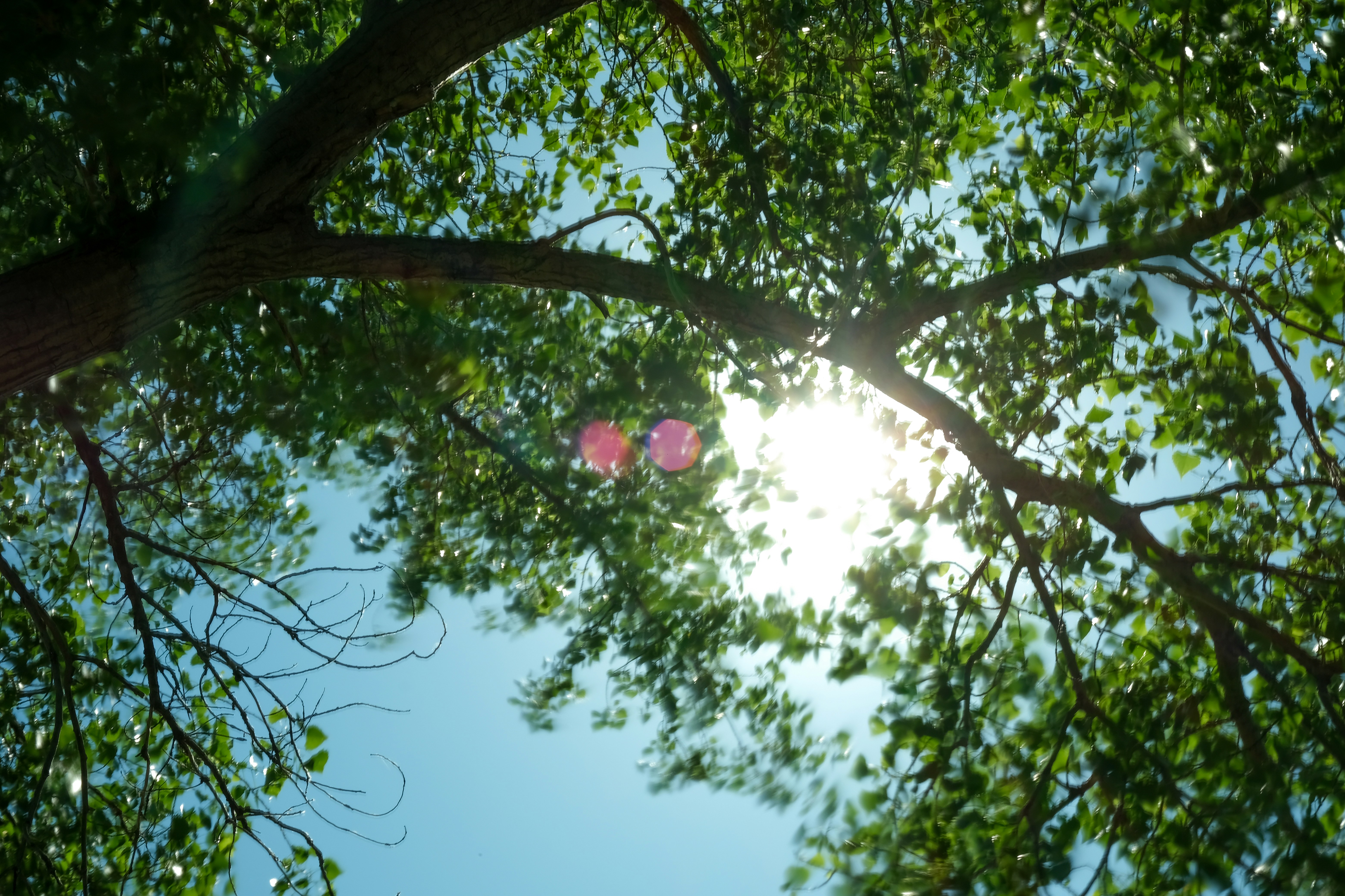 Photo by consoledotlog